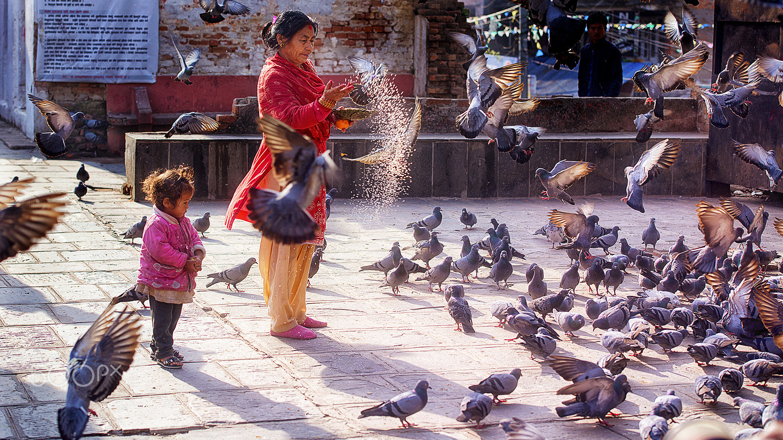 Nikon AF-S Nikkor 70-200mm F2.8G ED VR II sample photo. Pigeon feeding photography