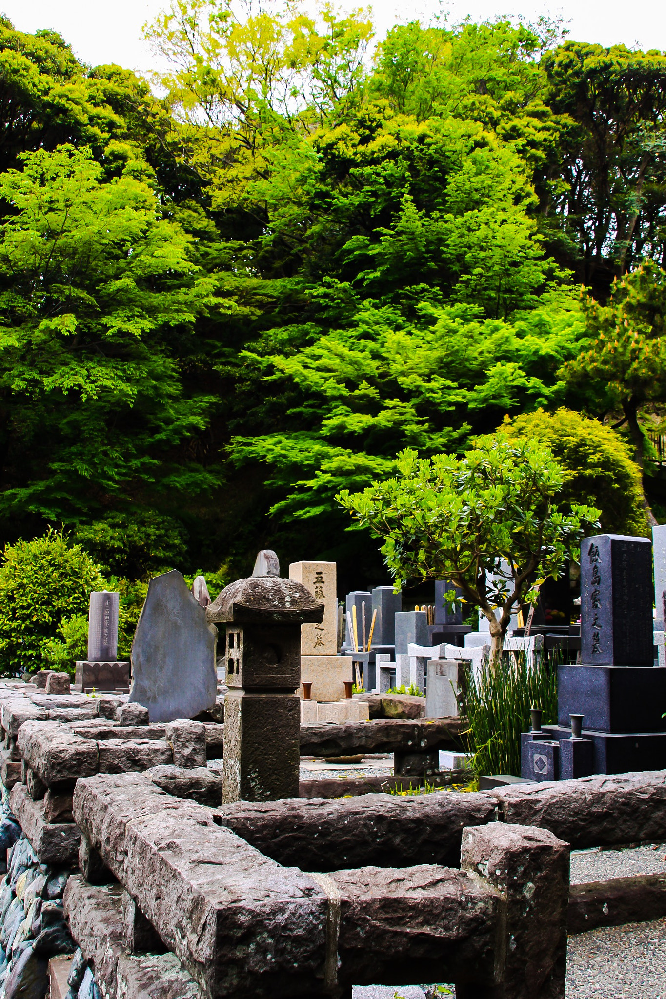 Canon EOS 50D + Sigma 18-200mm f/3.5-6.3 DC OS sample photo. Japanese graveyard photography
