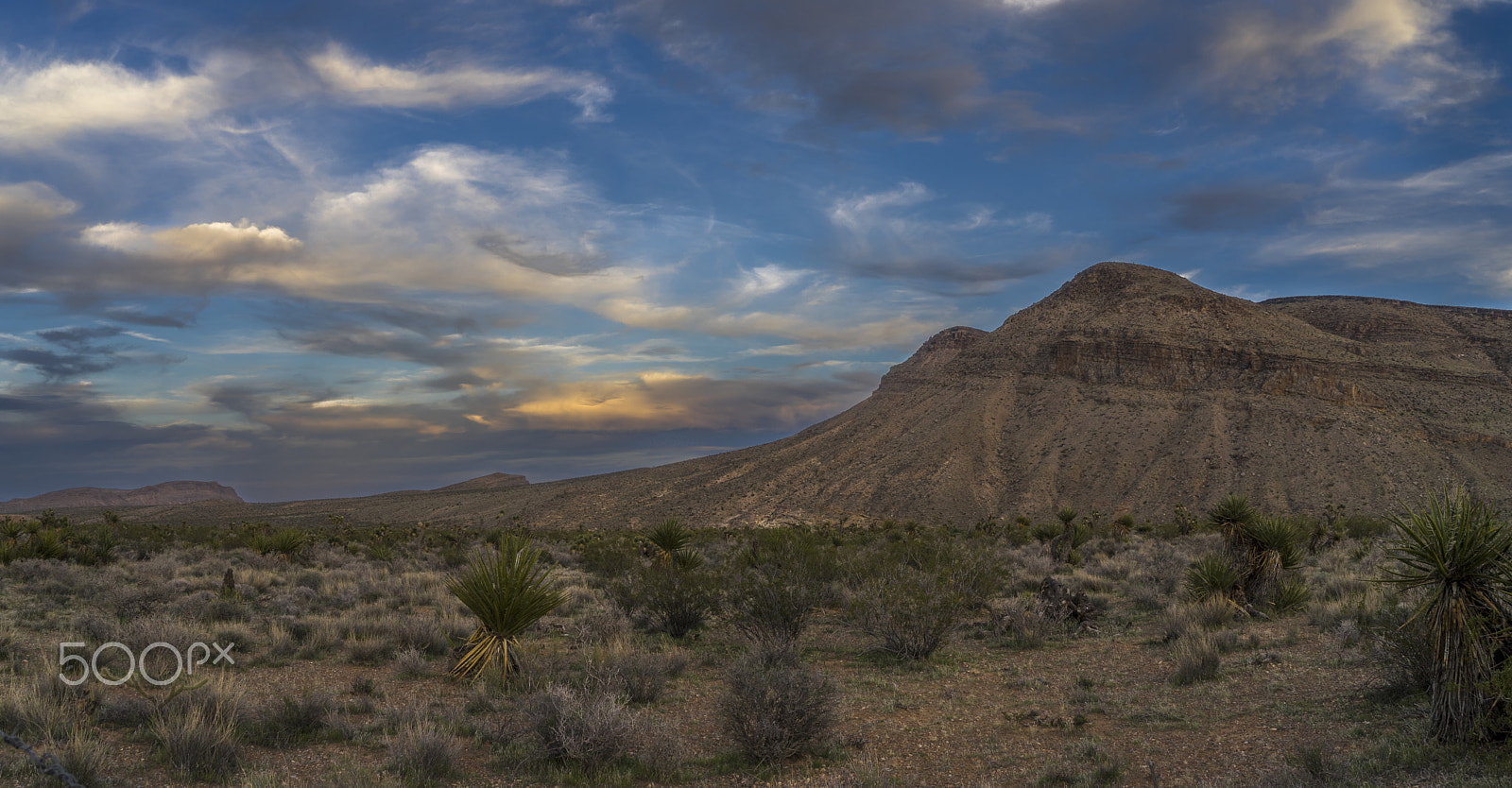 Sony a7 sample photo. Desert evening photography