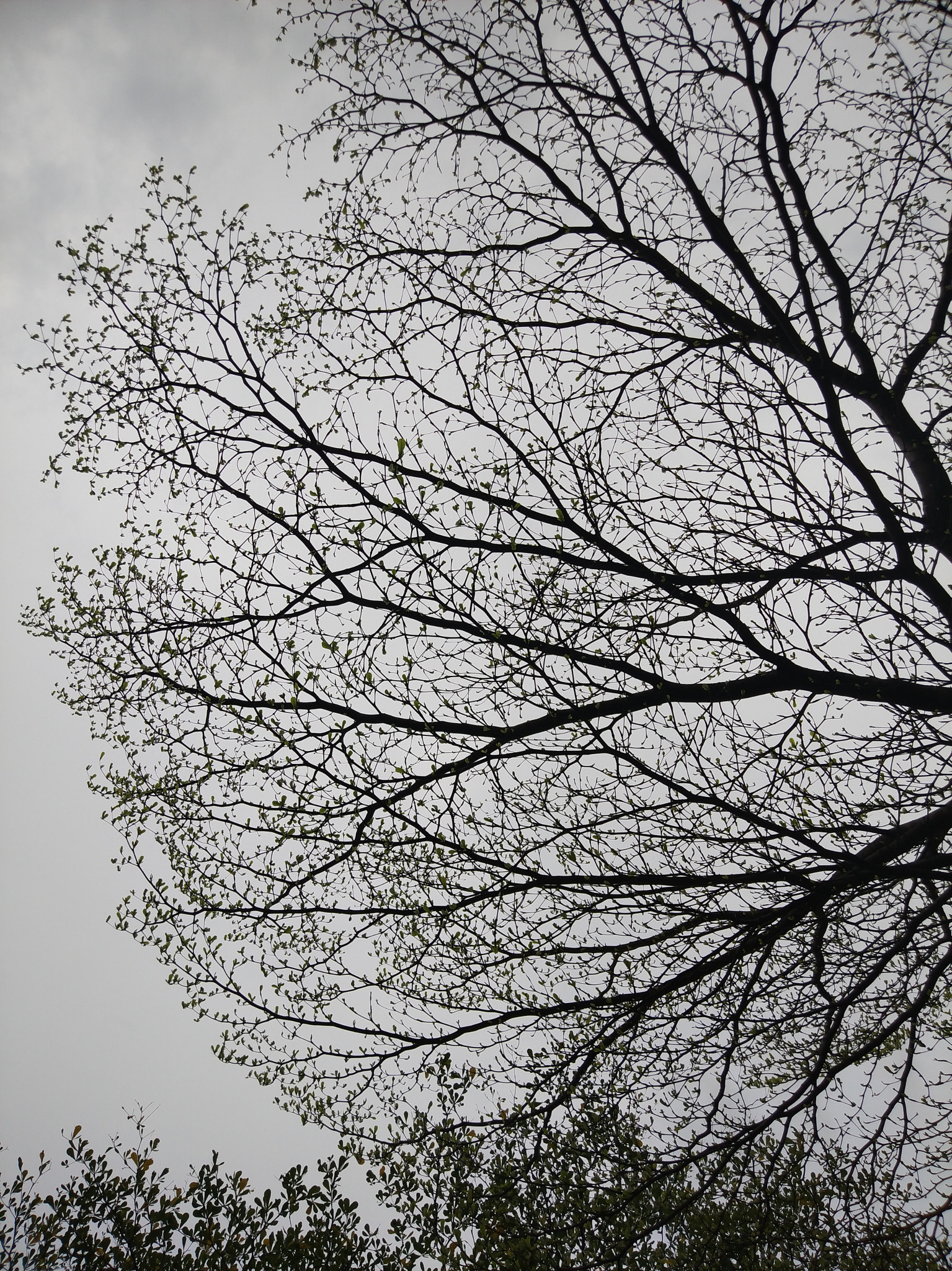 Xiaomi Mi Note2 sample photo
