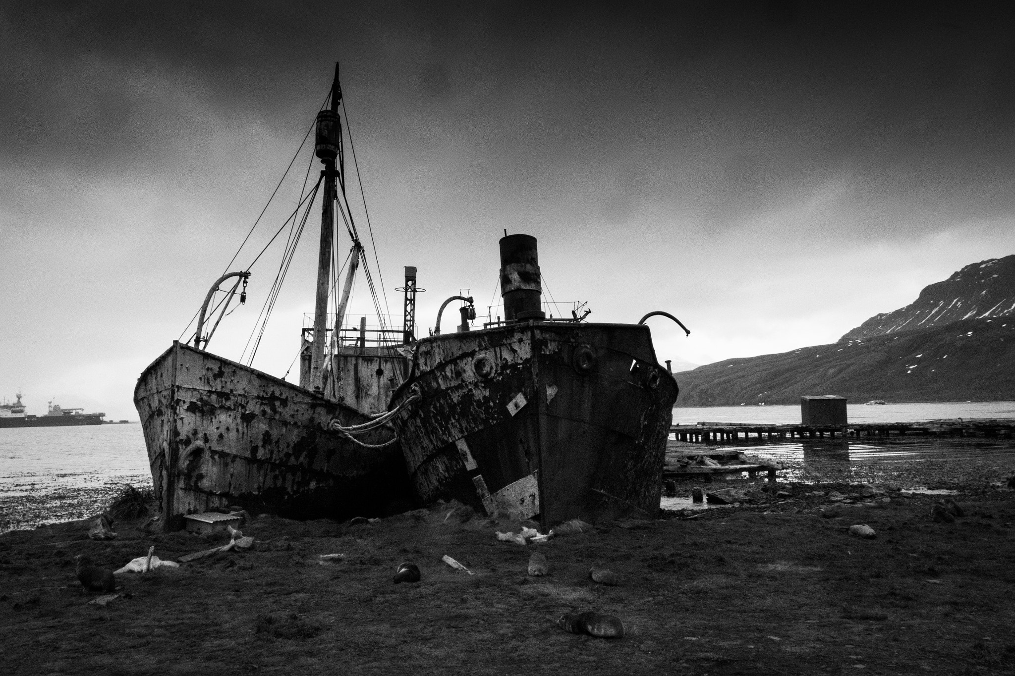 Nikon 1 AW1 sample photo. Abandoned ships in old whaling station,grytviken,south georgia photography