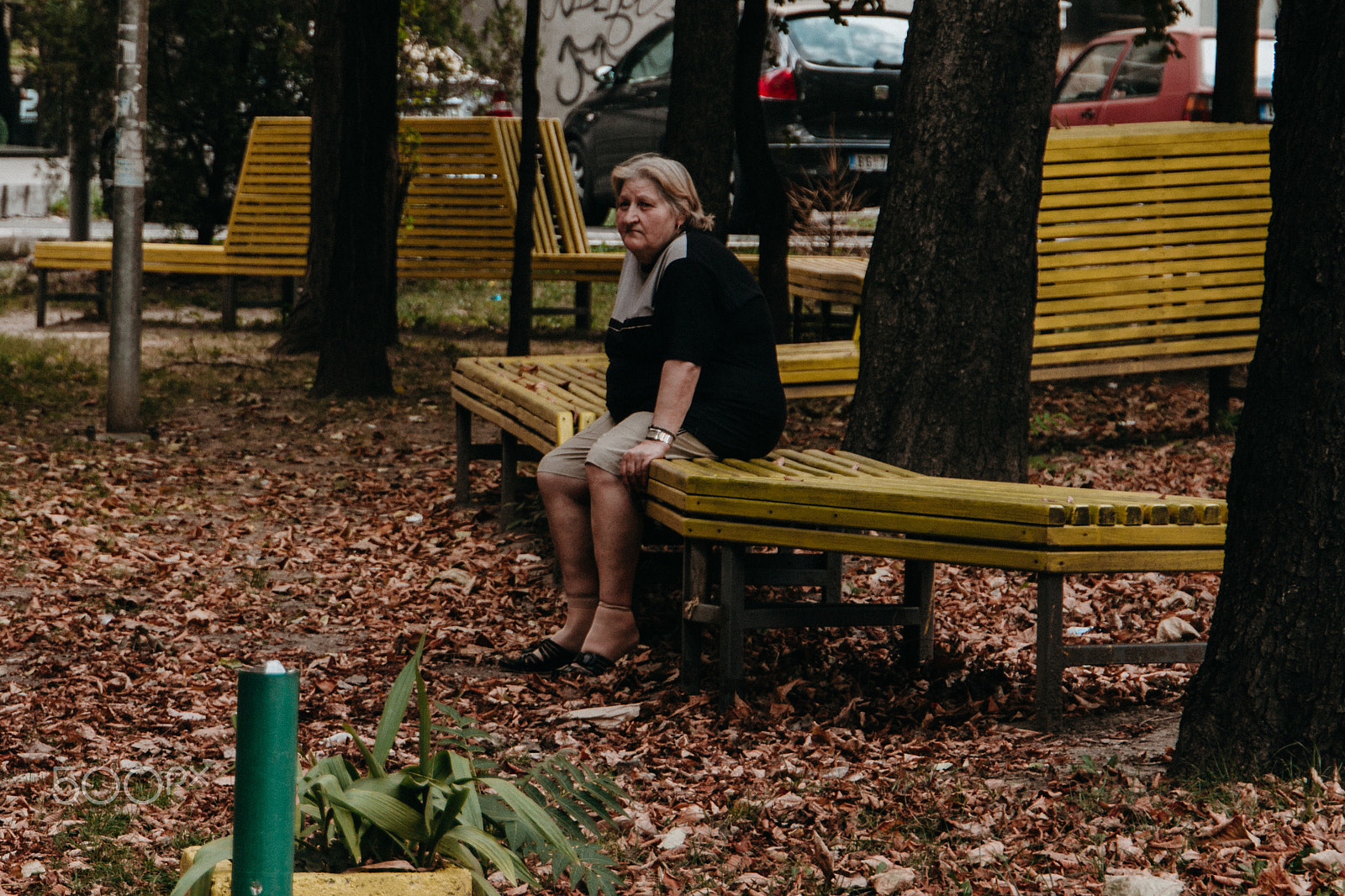 Canon EOS 650D (EOS Rebel T4i / EOS Kiss X6i) sample photo. Waiting | belgrade, serbia photography