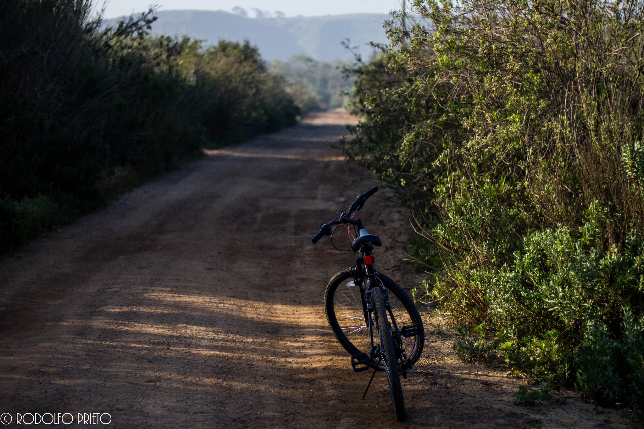 Canon EOS 550D (EOS Rebel T2i / EOS Kiss X4) sample photo. Riding photography