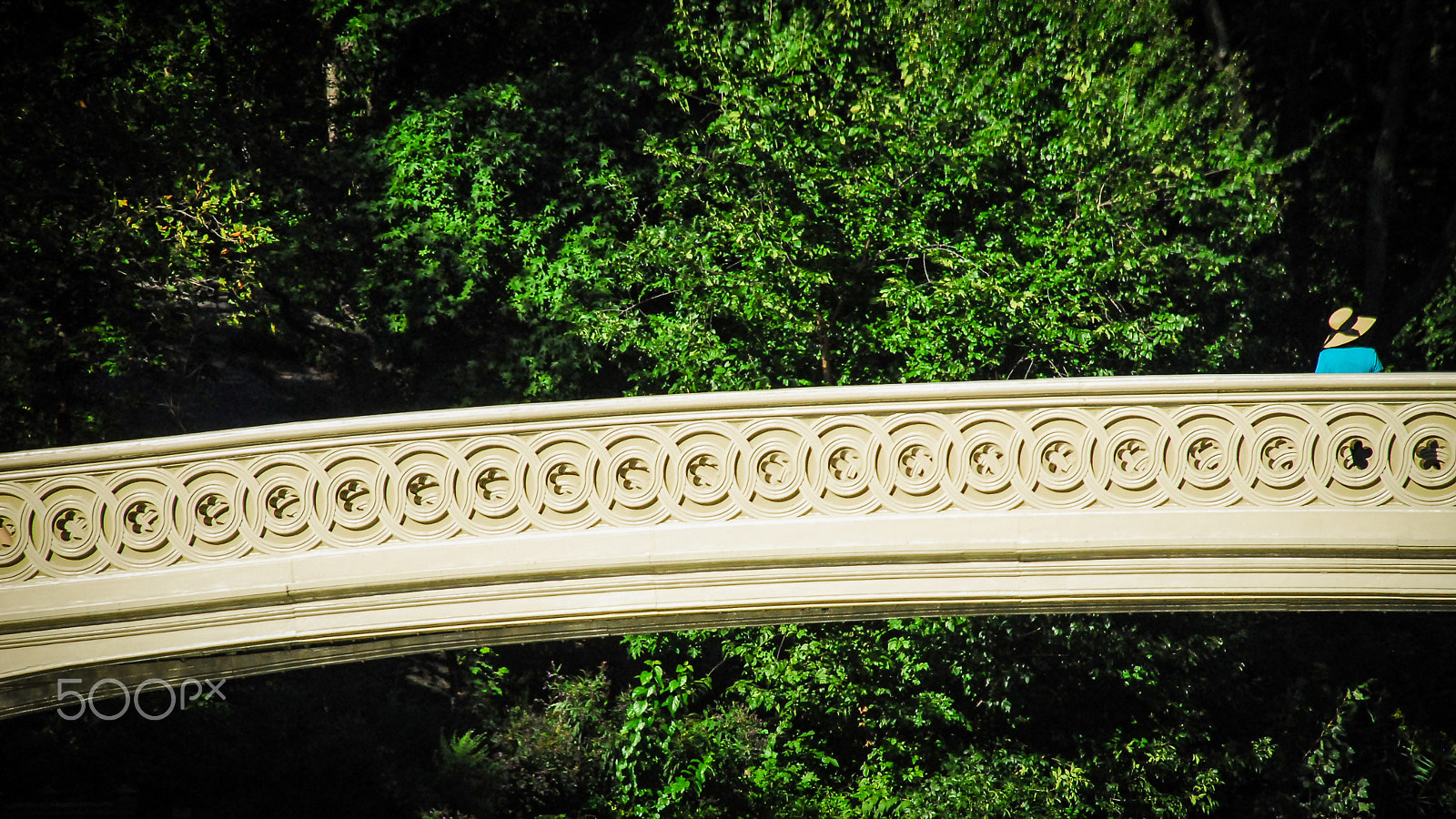 Nikon D200 sample photo. Bow photography