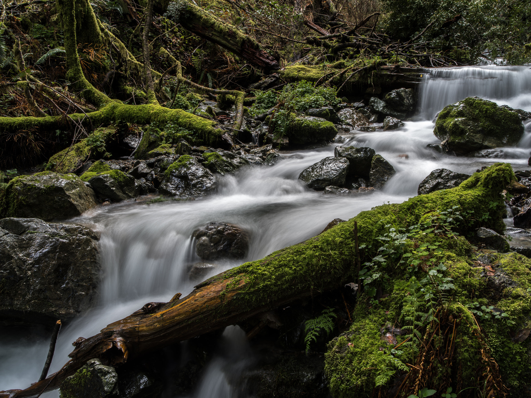 Pentax 645Z sample photo. Bear creek photography