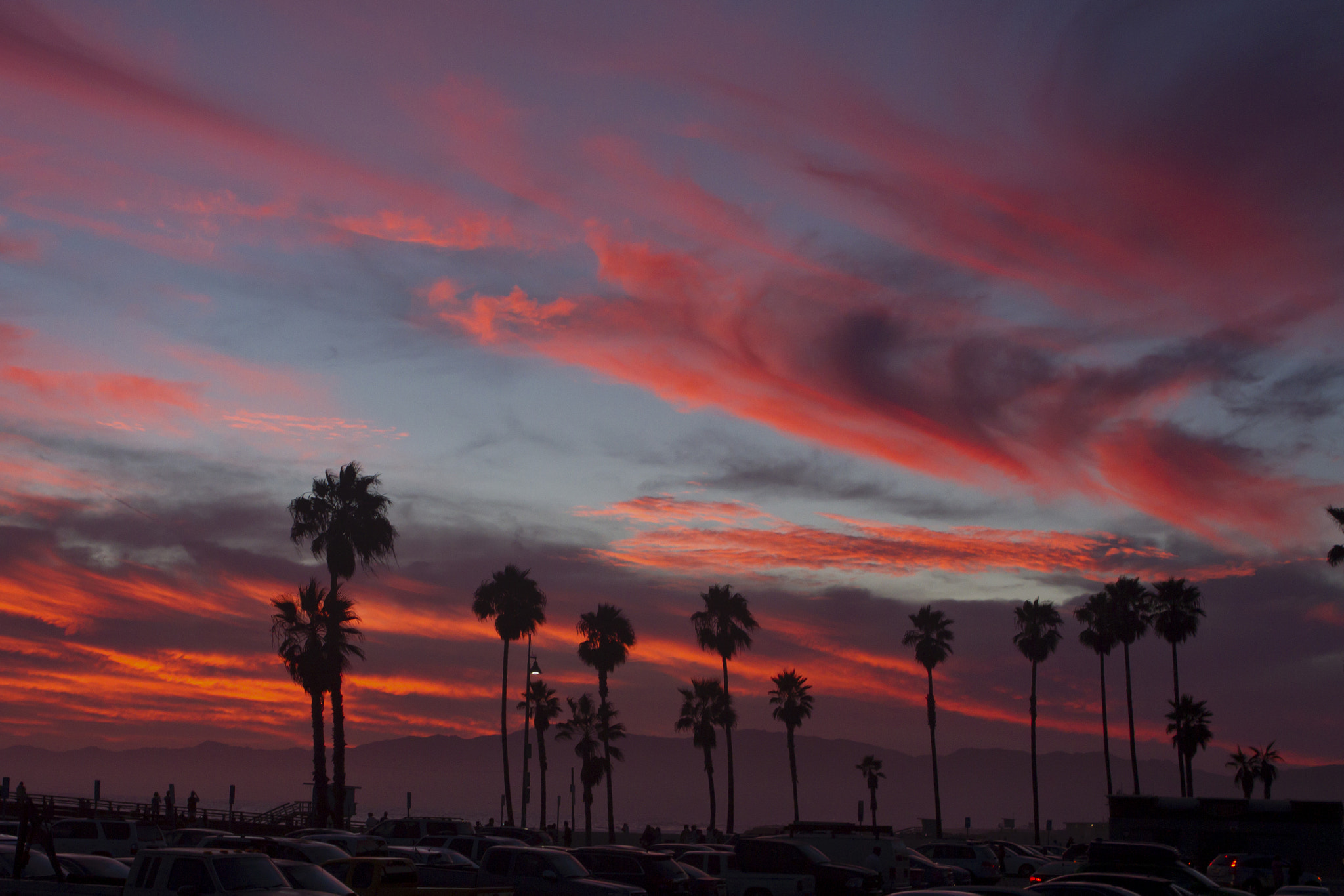 Canon EOS 7D sample photo. Venice sunset photography