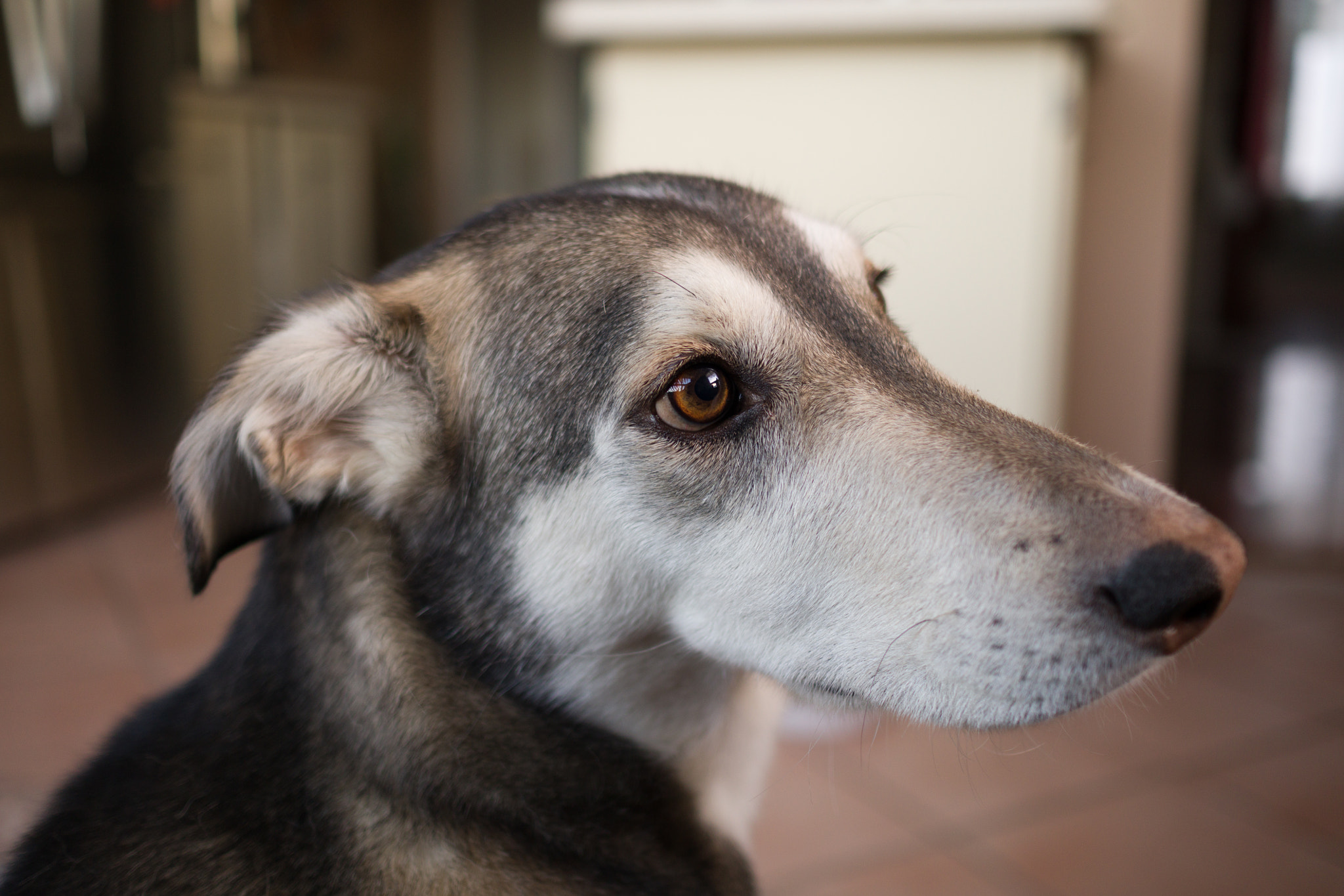 Sony a6300 + Sony Sonnar T* E 24mm F1.8 ZA sample photo. Eye photography
