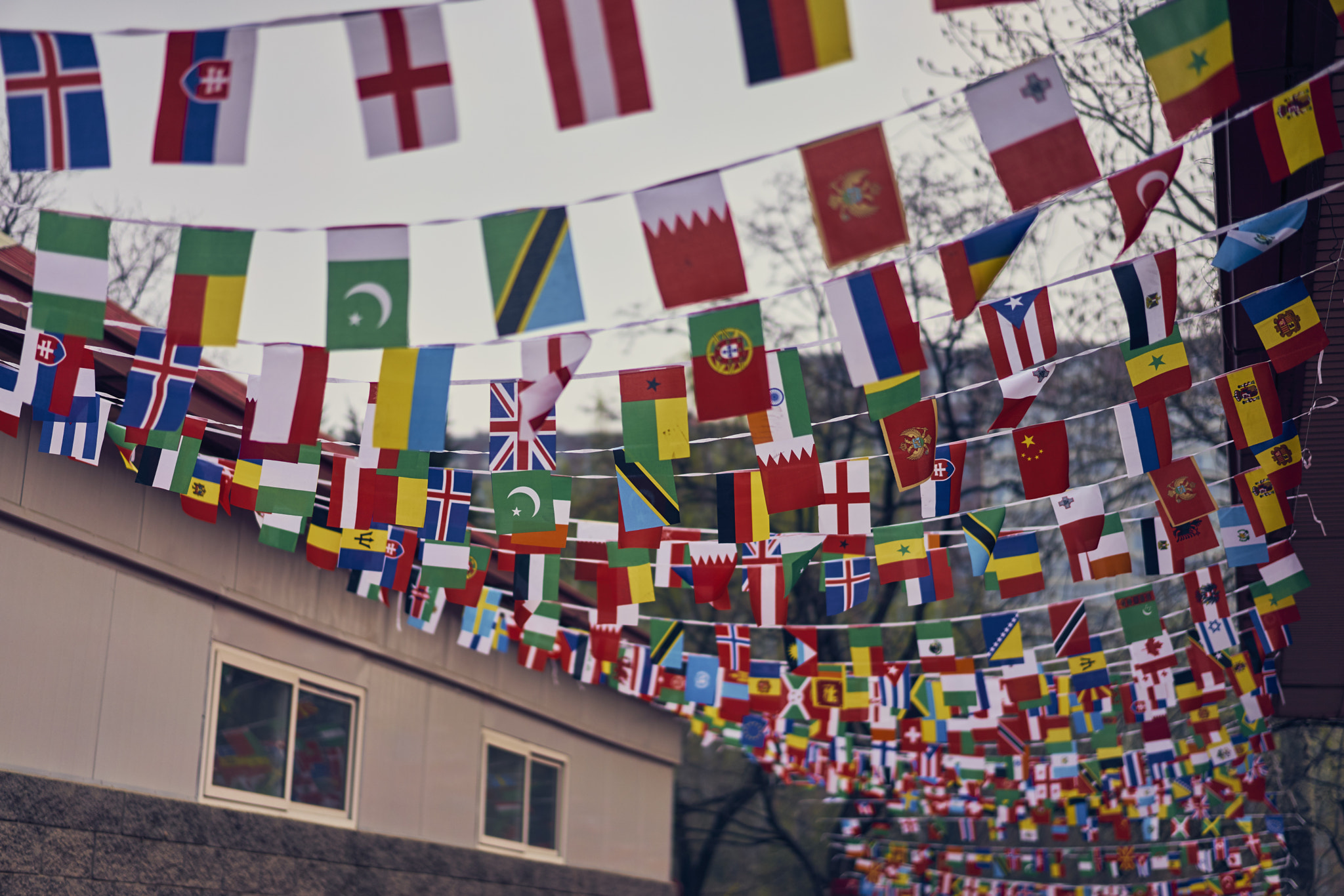 Sony Sonnar T* FE 55mm F1.8 ZA sample photo. Flags photography
