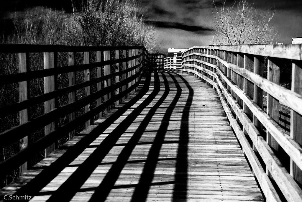 Nikon D3000 sample photo. Indiana photography