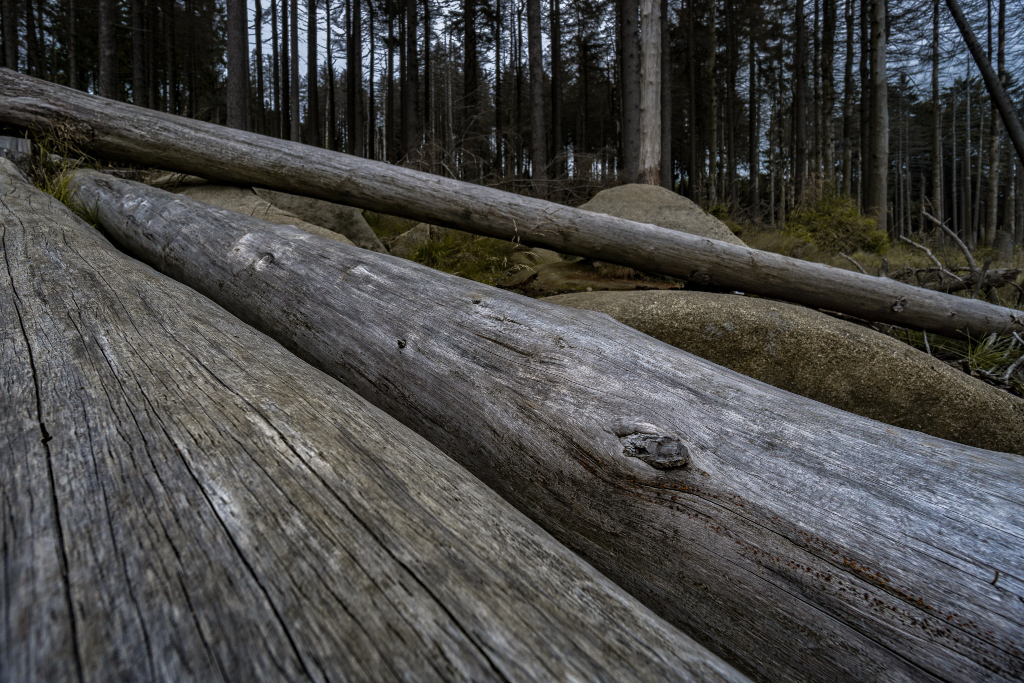 Sony a6000 + Sony E 10-18mm F4 OSS sample photo. Germany | harz 2016 photography