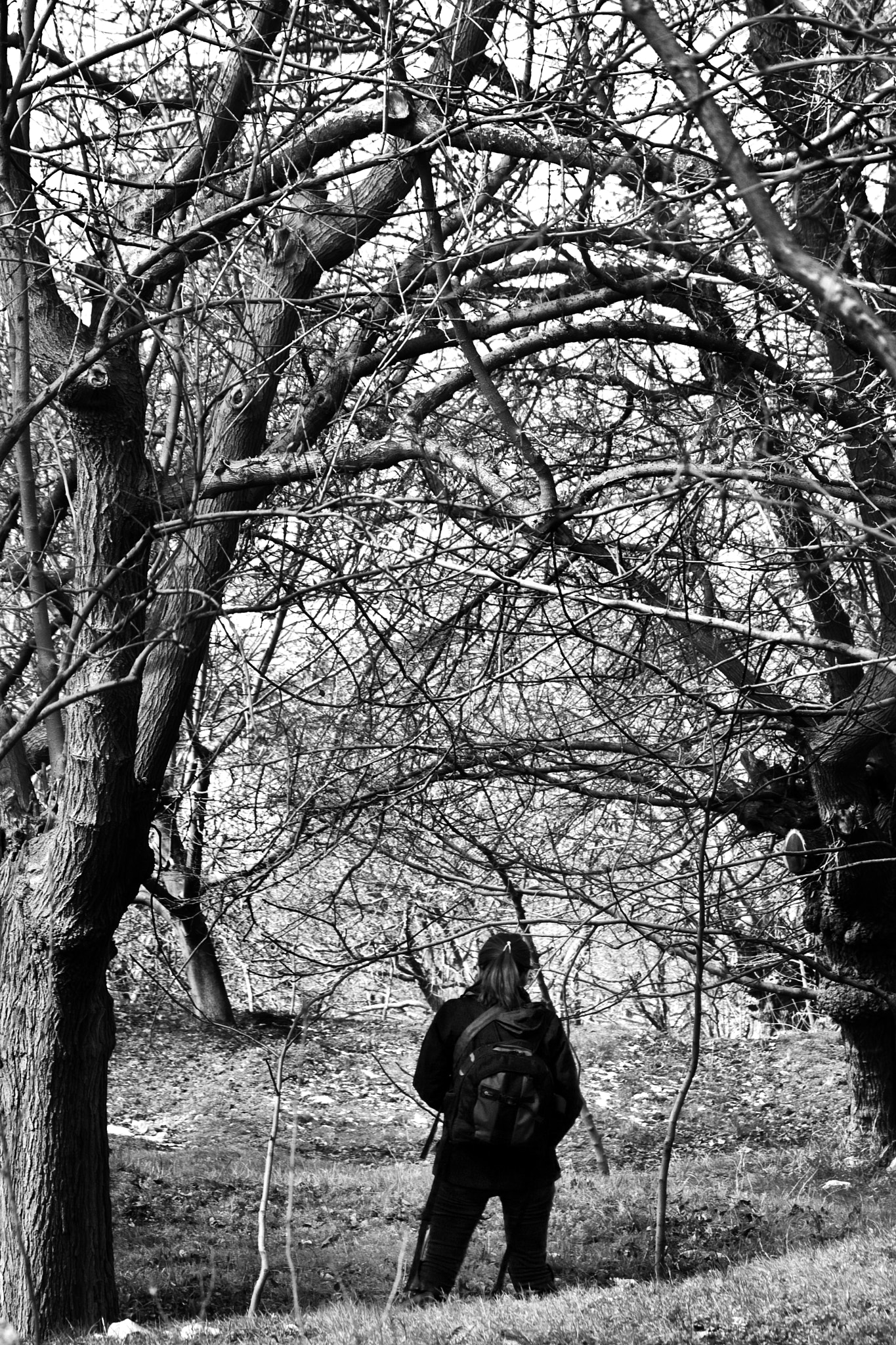 Canon EOS 1000D (EOS Digital Rebel XS / EOS Kiss F) sample photo. From human and nature... photography