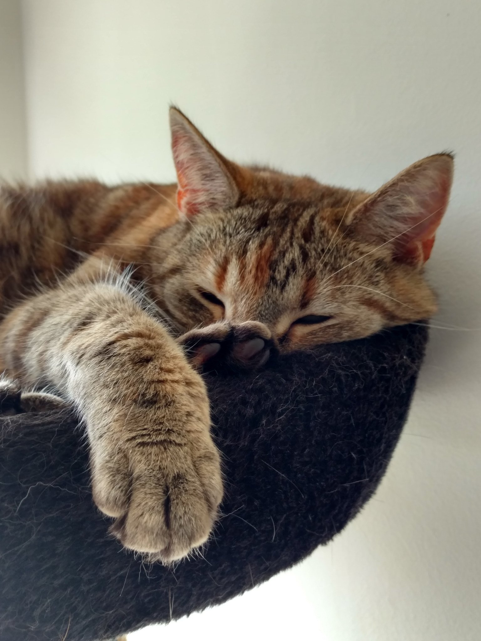 Motorola Moto X Style sample photo. Monday 20 march photography