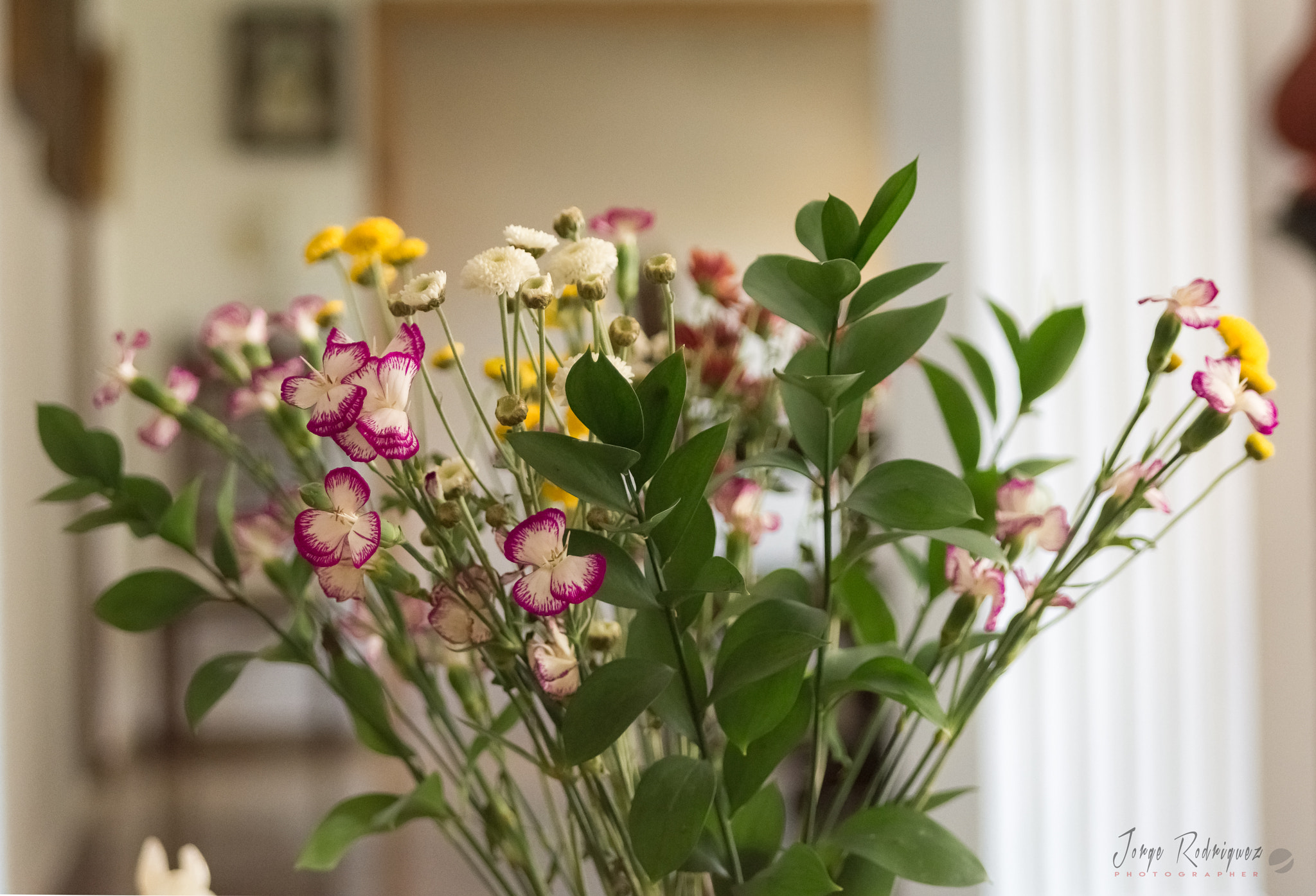 Nikon D7200 sample photo