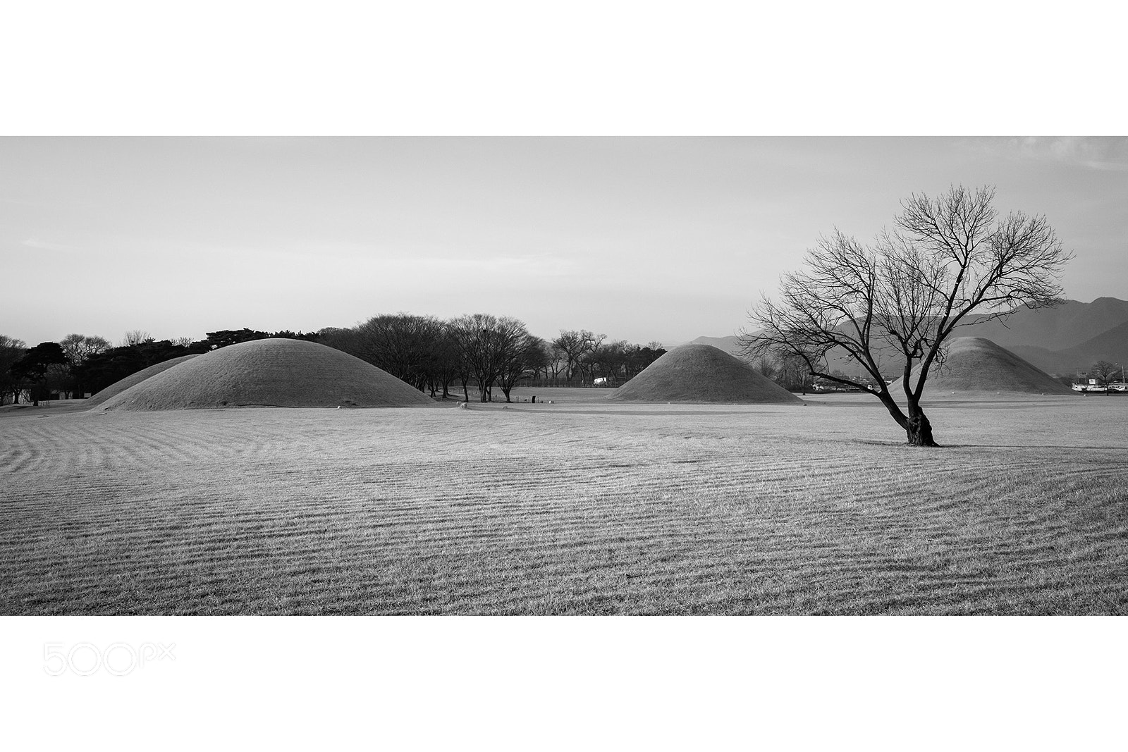 Fujifilm X-E1 sample photo. Gyeongju photography