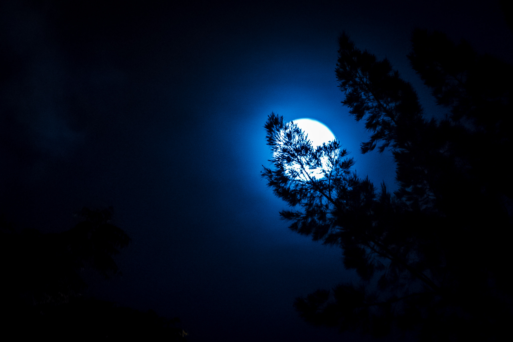 Sigma 70-200mm F2.8 EX DG OS HSM sample photo. Moonlight photography