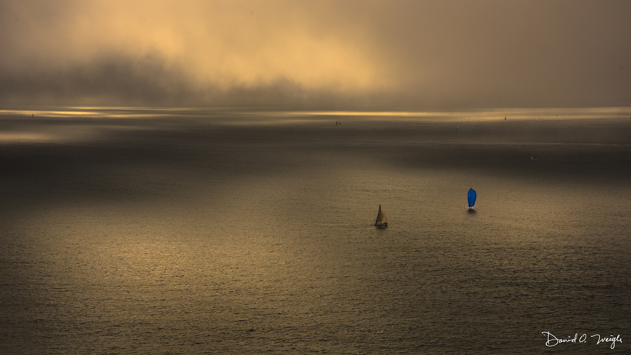Nikon D810 sample photo. Golden gate and pacific ocean photography