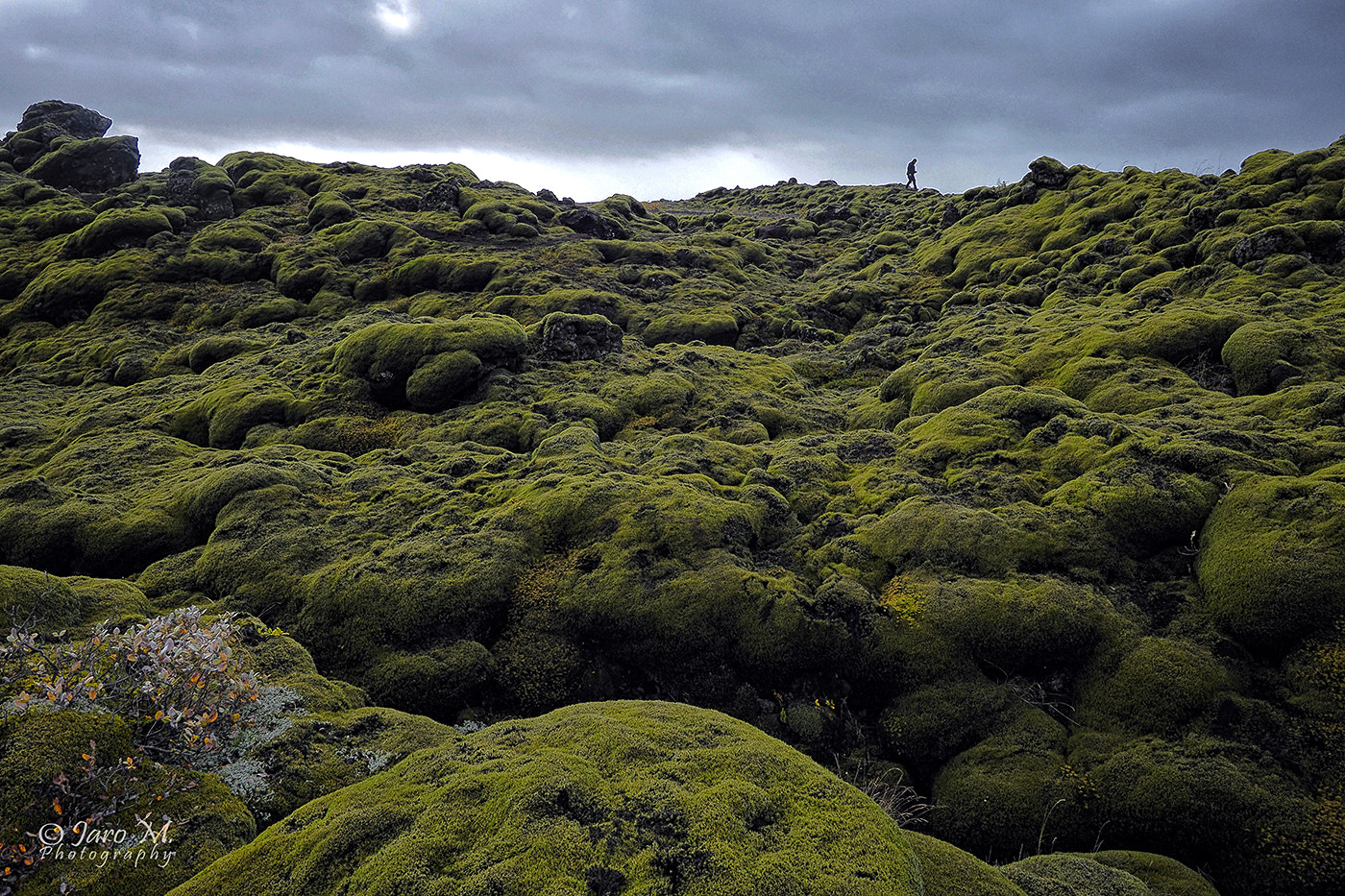 Olympus PEN-F sample photo. Iceland photography