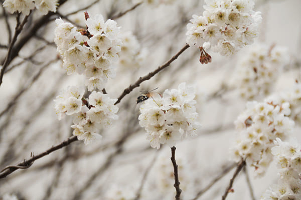 Sigma 18-200mm F3.5-6.3 II DC OS HSM sample photos - ExploreCams