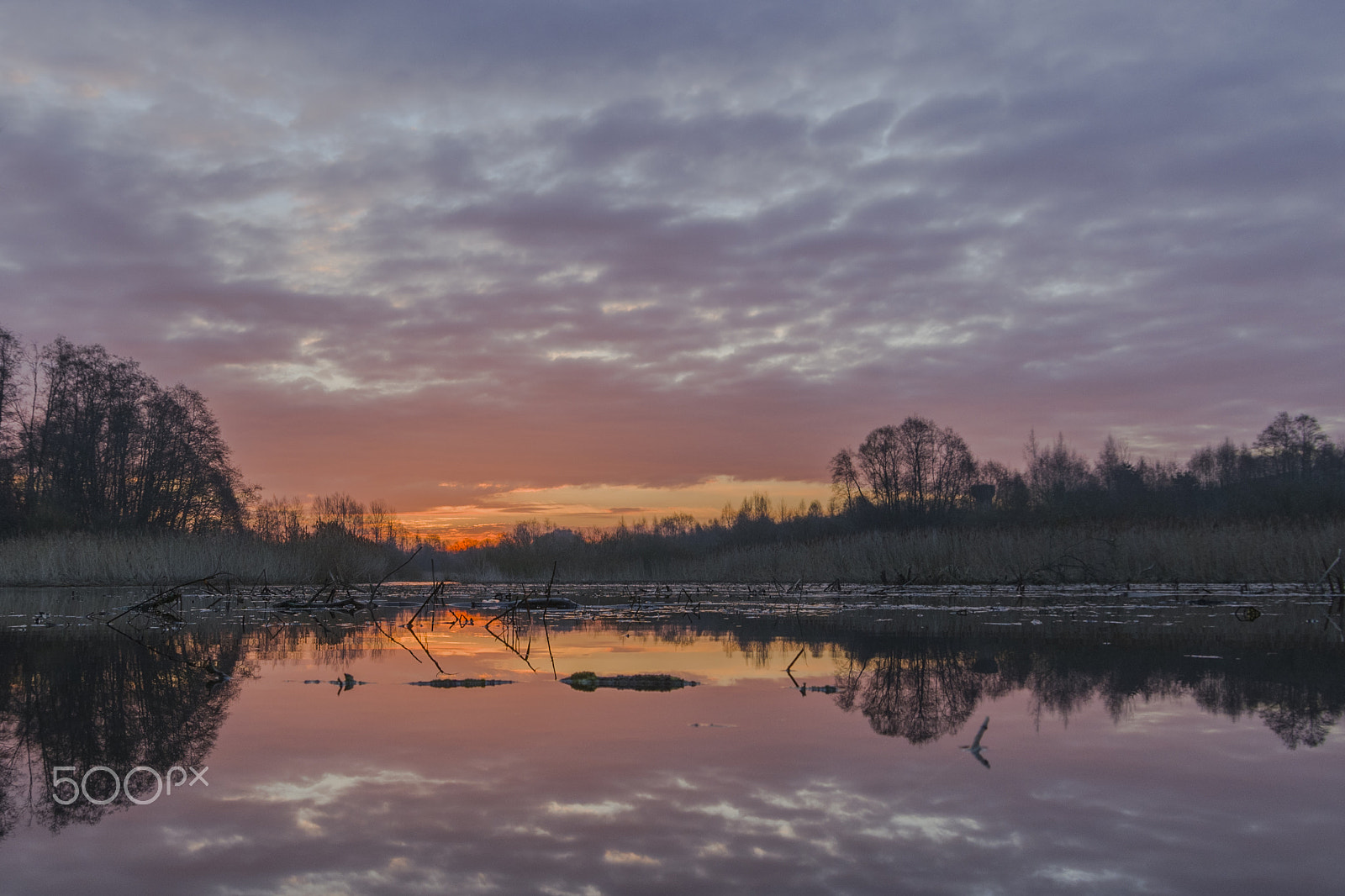 Pentax K-5 II sample photo. Saulėtekis prie vyžuonos photography