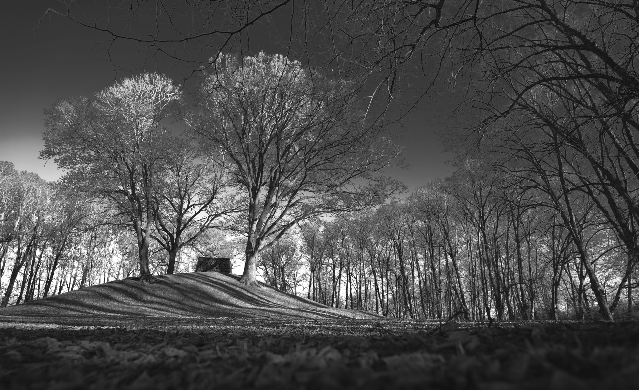 Sony a7R II + ZEISS Batis 18mm F2.8 sample photo. The memorial hill photography