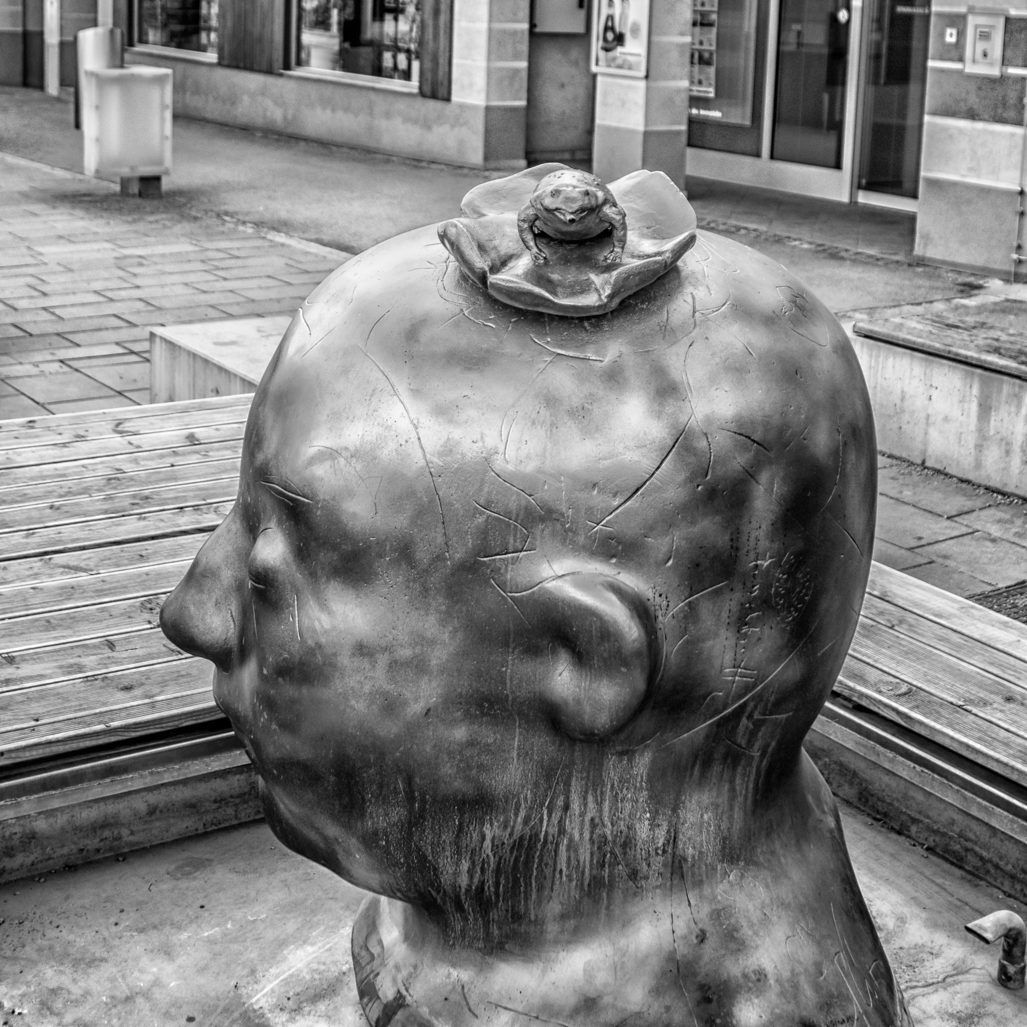 Olympus OM-D E-M10 + Sigma 19mm F2.8 DN Art sample photo. More than one way to use you head photography