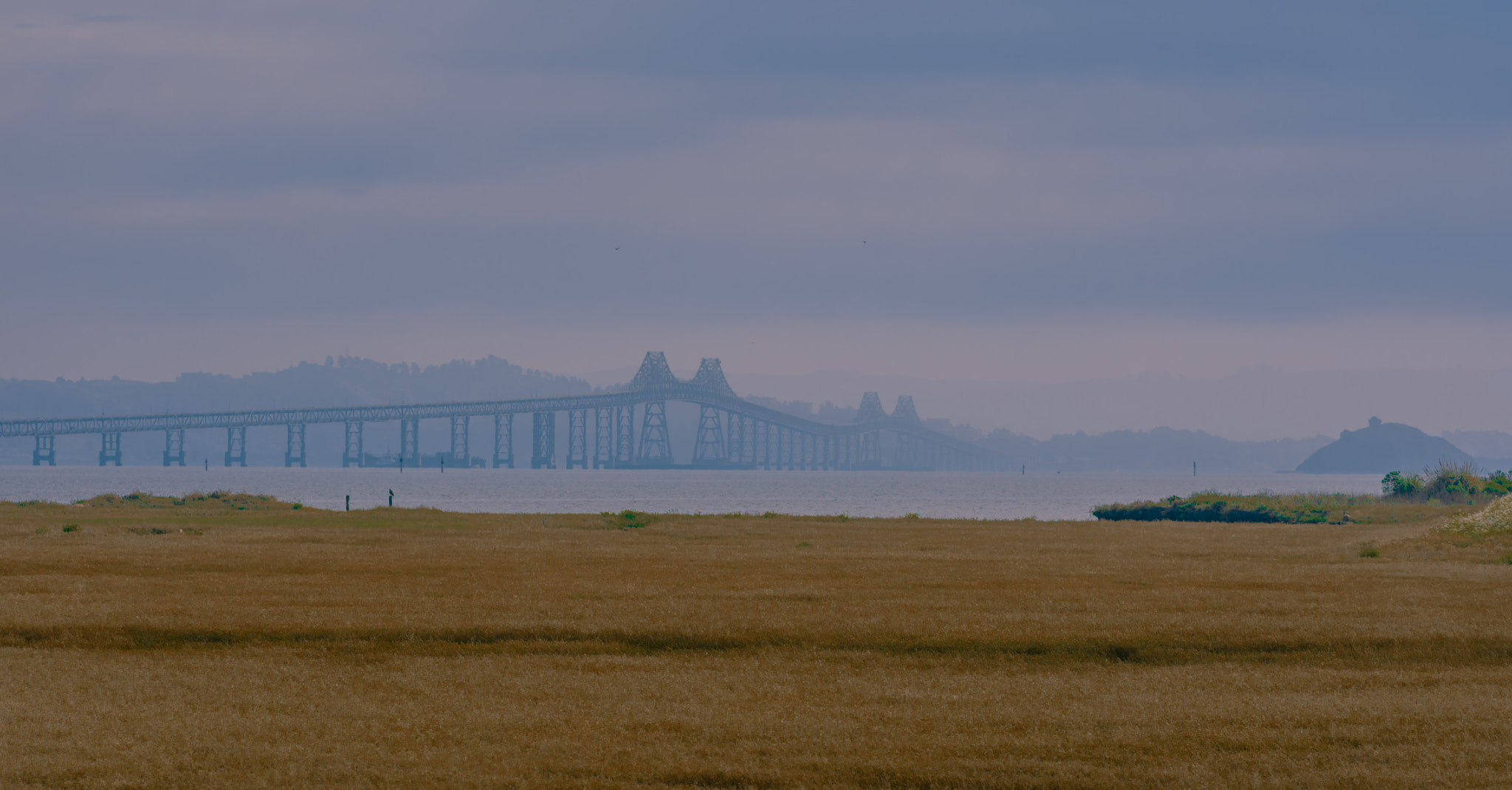 Nikon D7200 + Tokina AT-X Pro 100mm F2.8 Macro sample photo. Richmond san rafael bridge from shorebird marsh photography