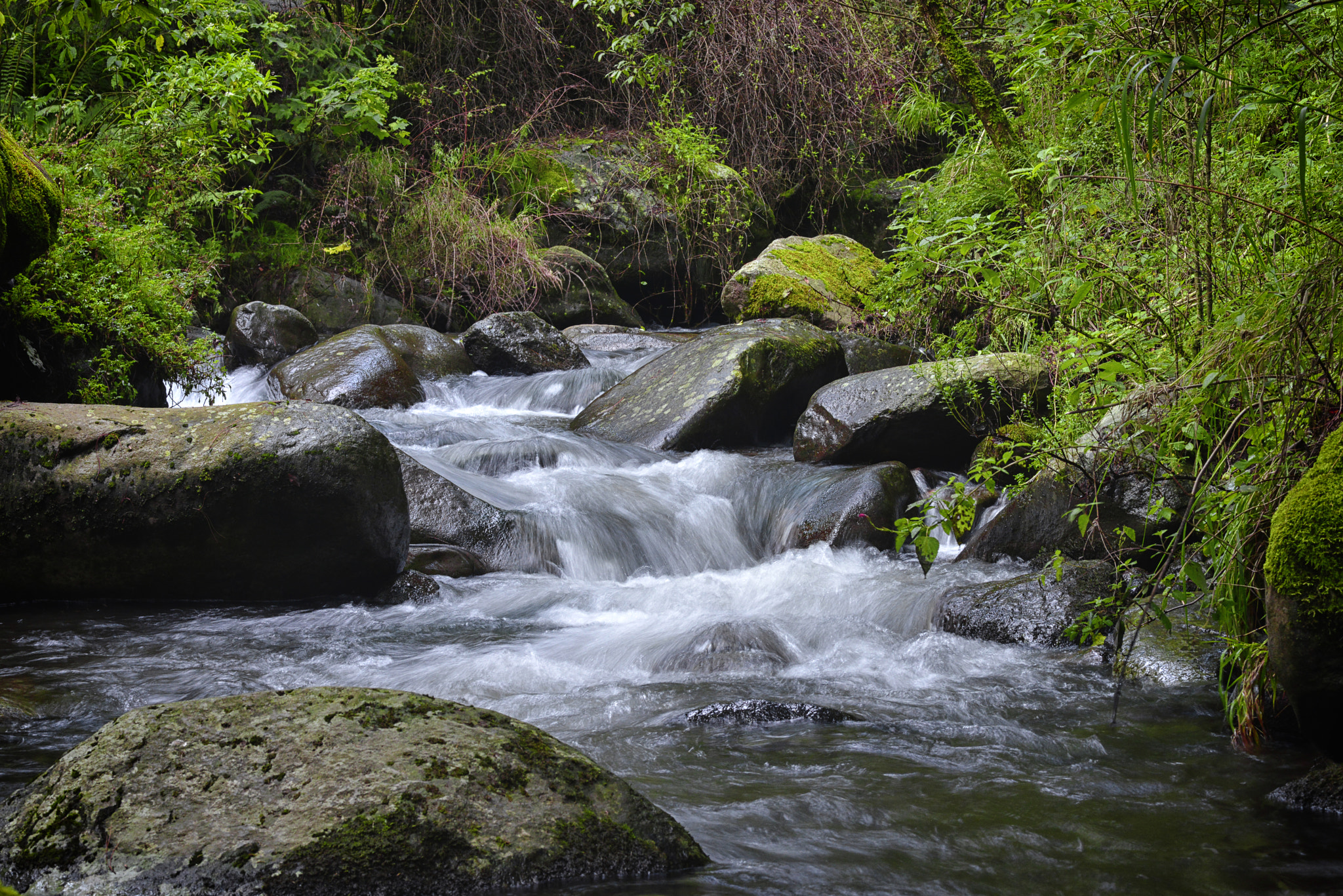 Nikon D800 + Nikon AF-S Nikkor 85mm F1.8G sample photo. Little creek photography