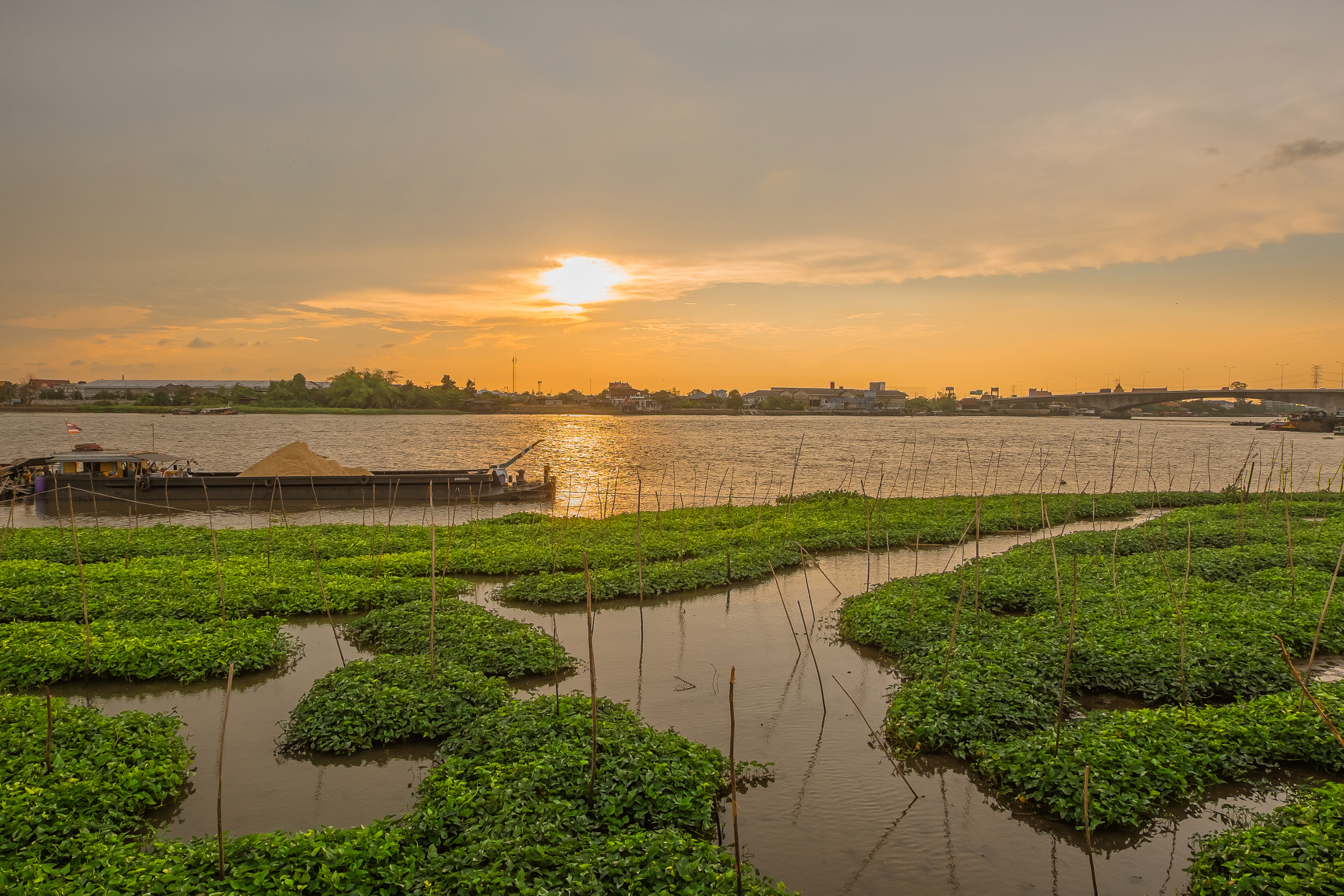 Fujifilm X-T1 + Fujifilm XC 16-50mm F3.5-5.6 OIS II sample photo. The green shapes photography