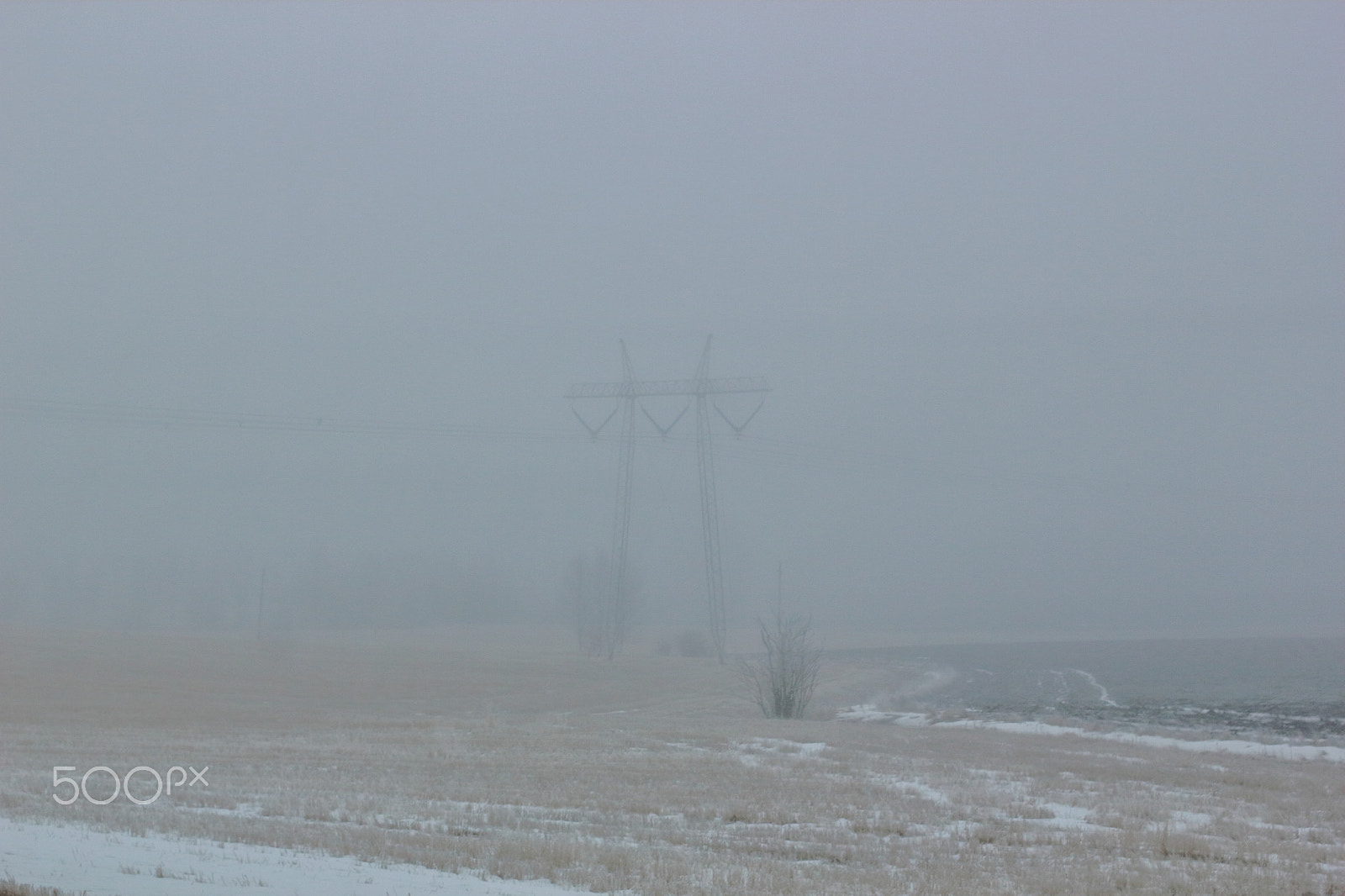 Canon EOS 550D (EOS Rebel T2i / EOS Kiss X4) sample photo. Pylon in fog photography