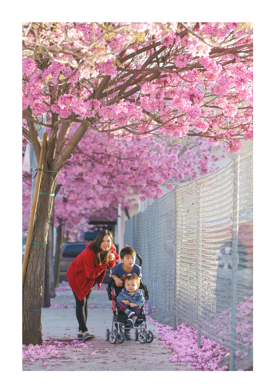 Sigma 70-200mm F2.8 EX DG HSM APO Macro sample photo. 一家人 photography