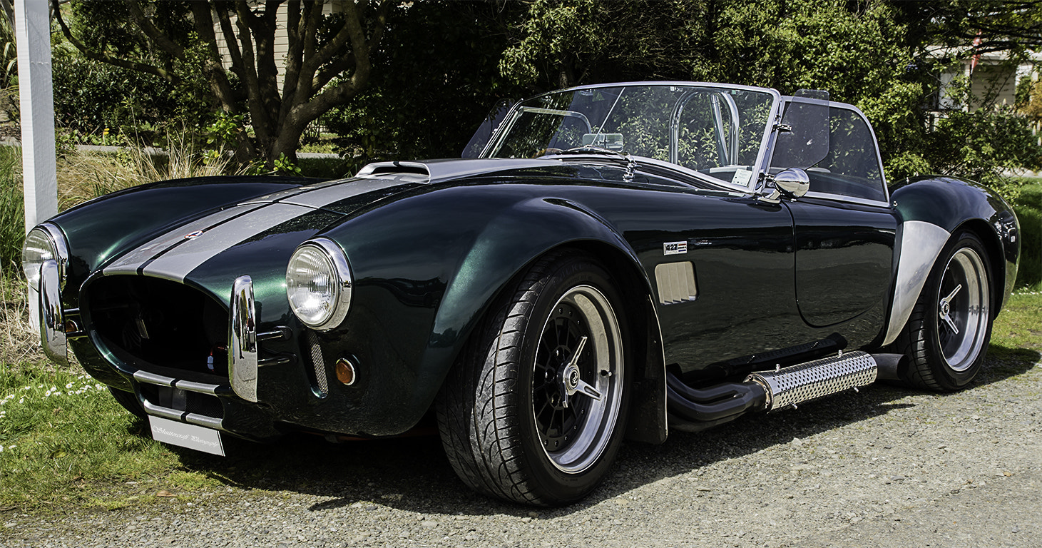 Sony ILCA-77M2 sample photo. Ac cobra photography