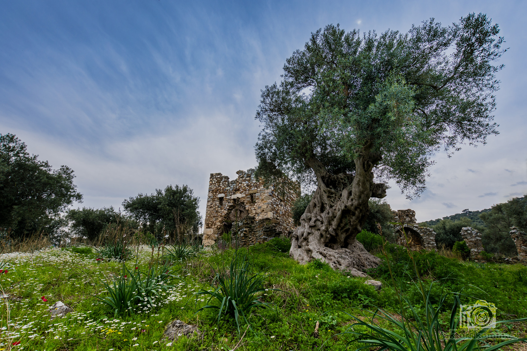 Nikon D7200 + Sigma 10-20mm F3.5 EX DC HSM sample photo. Old fortress photography