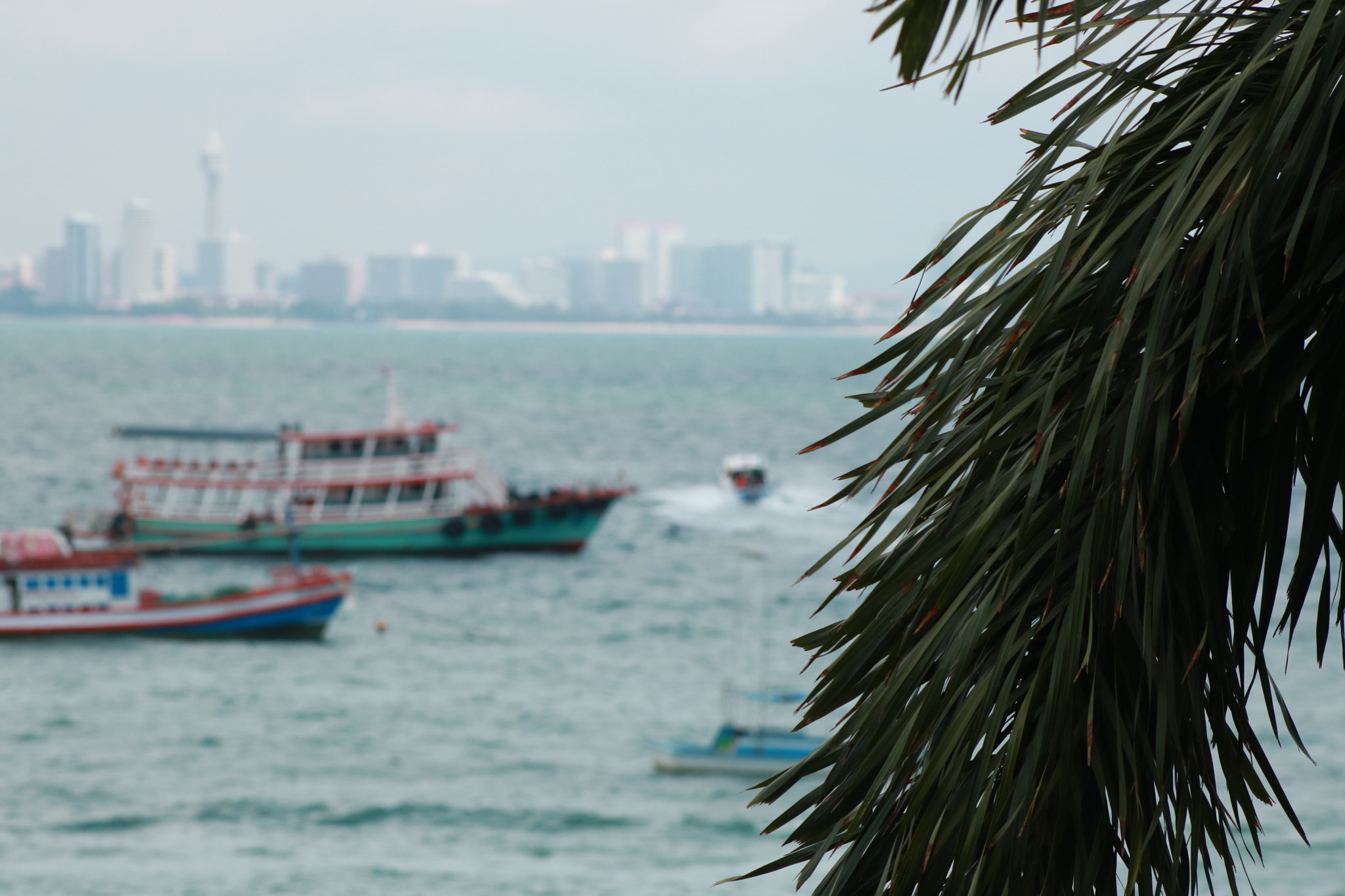 Canon EOS 750D (EOS Rebel T6i / EOS Kiss X8i) sample photo. Img photography