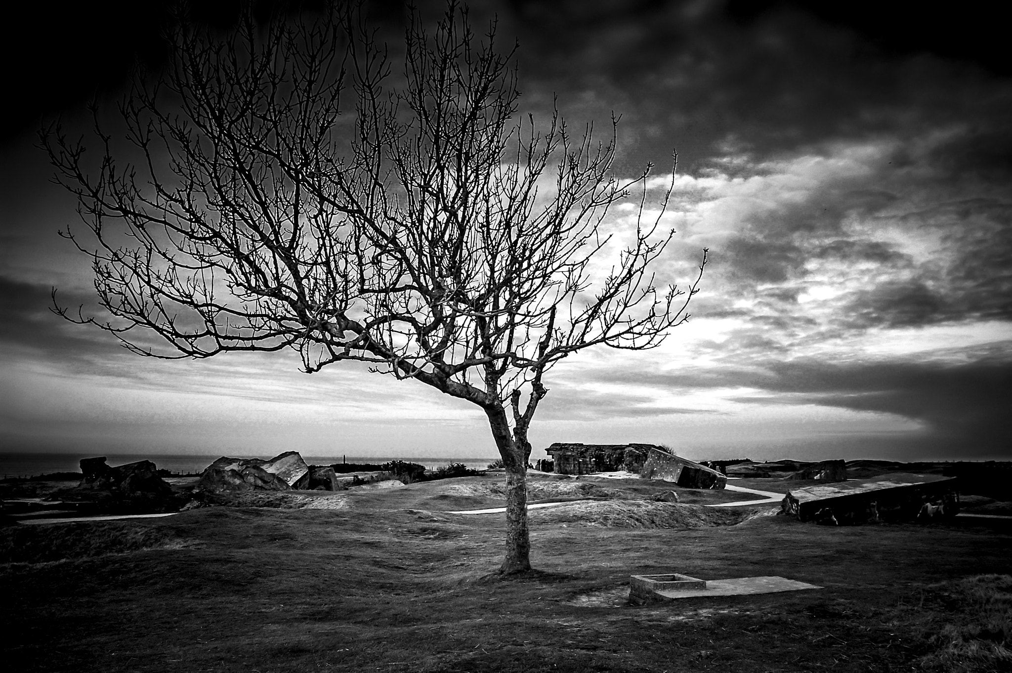 Pentax K100D Super sample photo. Le rescapé de la pointe du hoc... photography