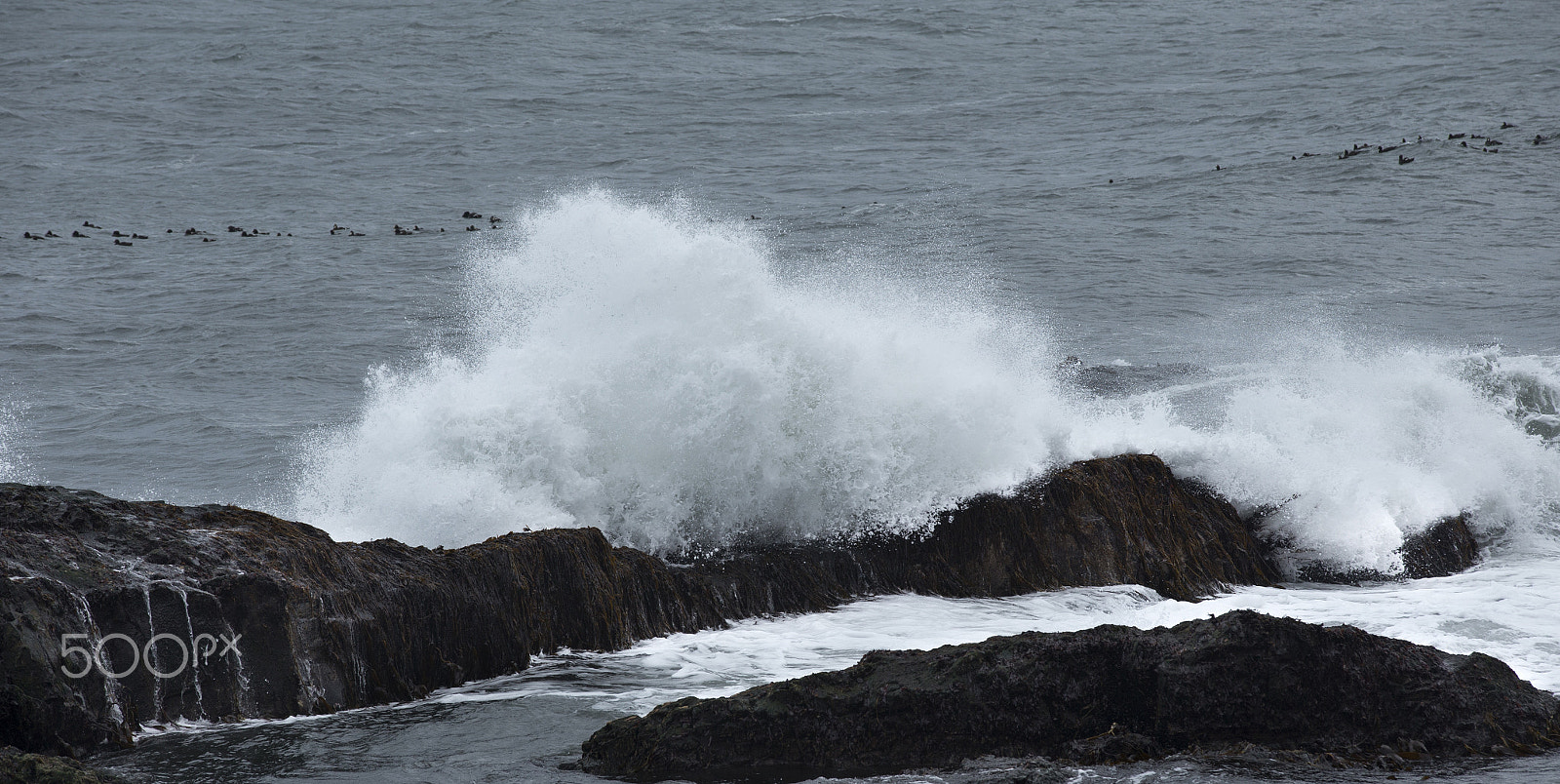 Canon EOS-1D X sample photo. Seashore of the atlantic ocean photography
