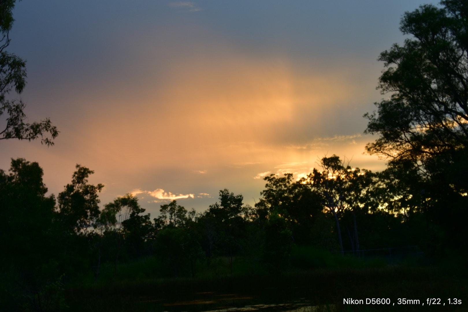 Nikon D5600 sample photo
