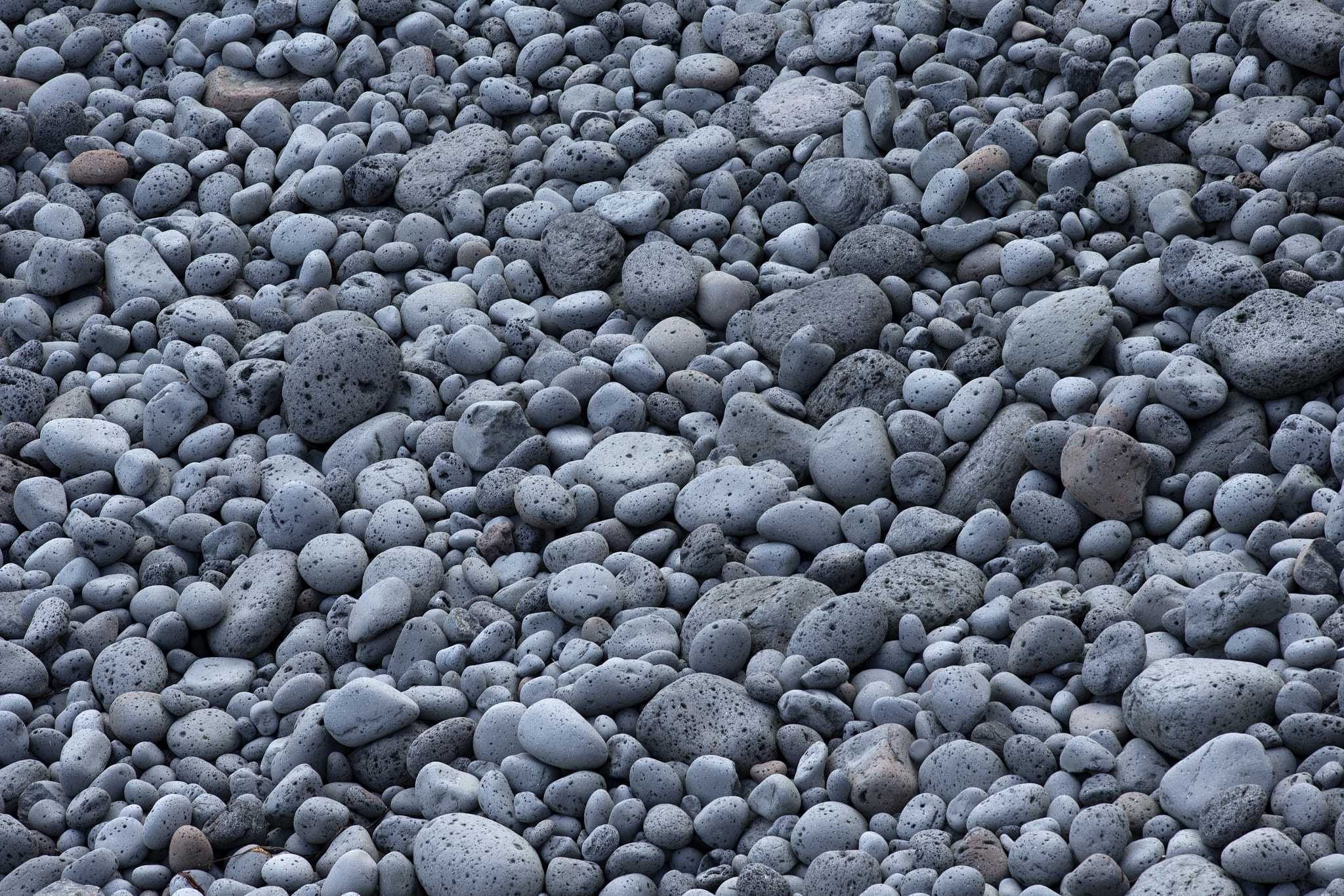 Canon EOS-1D X sample photo. Abstract background with round peeble stones photography