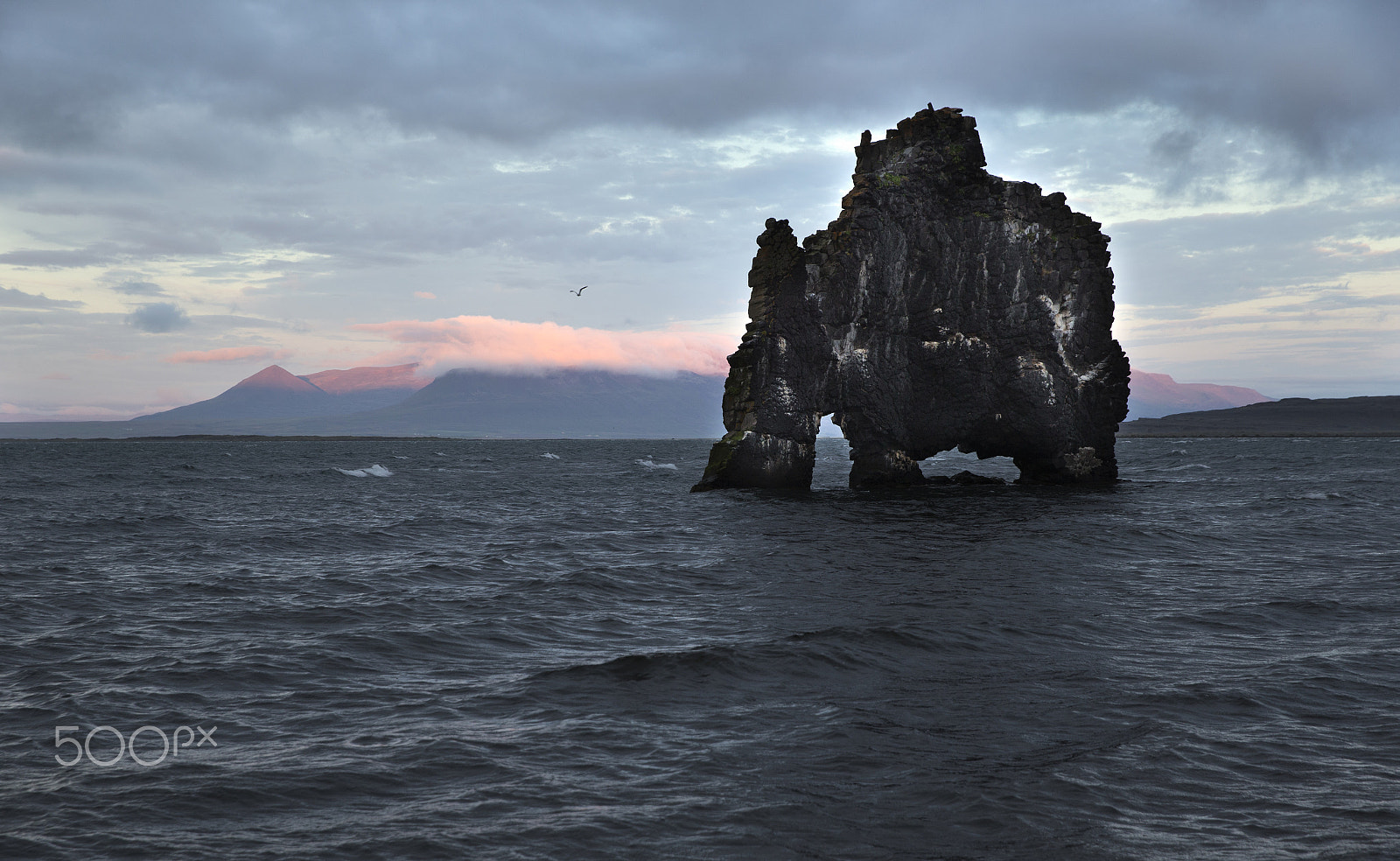 Canon EOS-1D X sample photo. Drinking dragon, exposed rock in iceland, seashore of the atlant photography