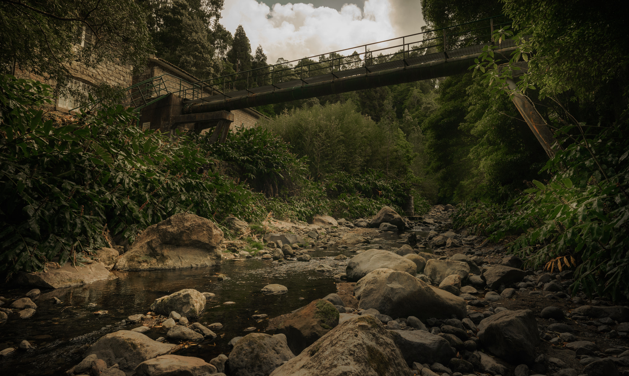 Sony a7R sample photo. Jungle bridge photography