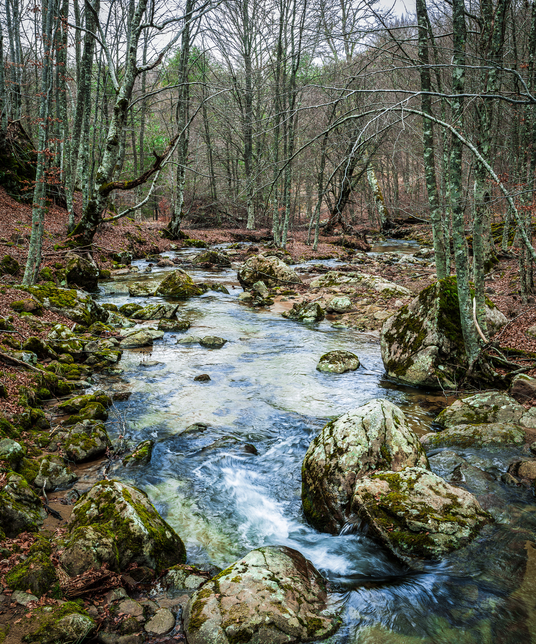 Fujifilm FinePix S6000fd sample photo. Song of the stream photography