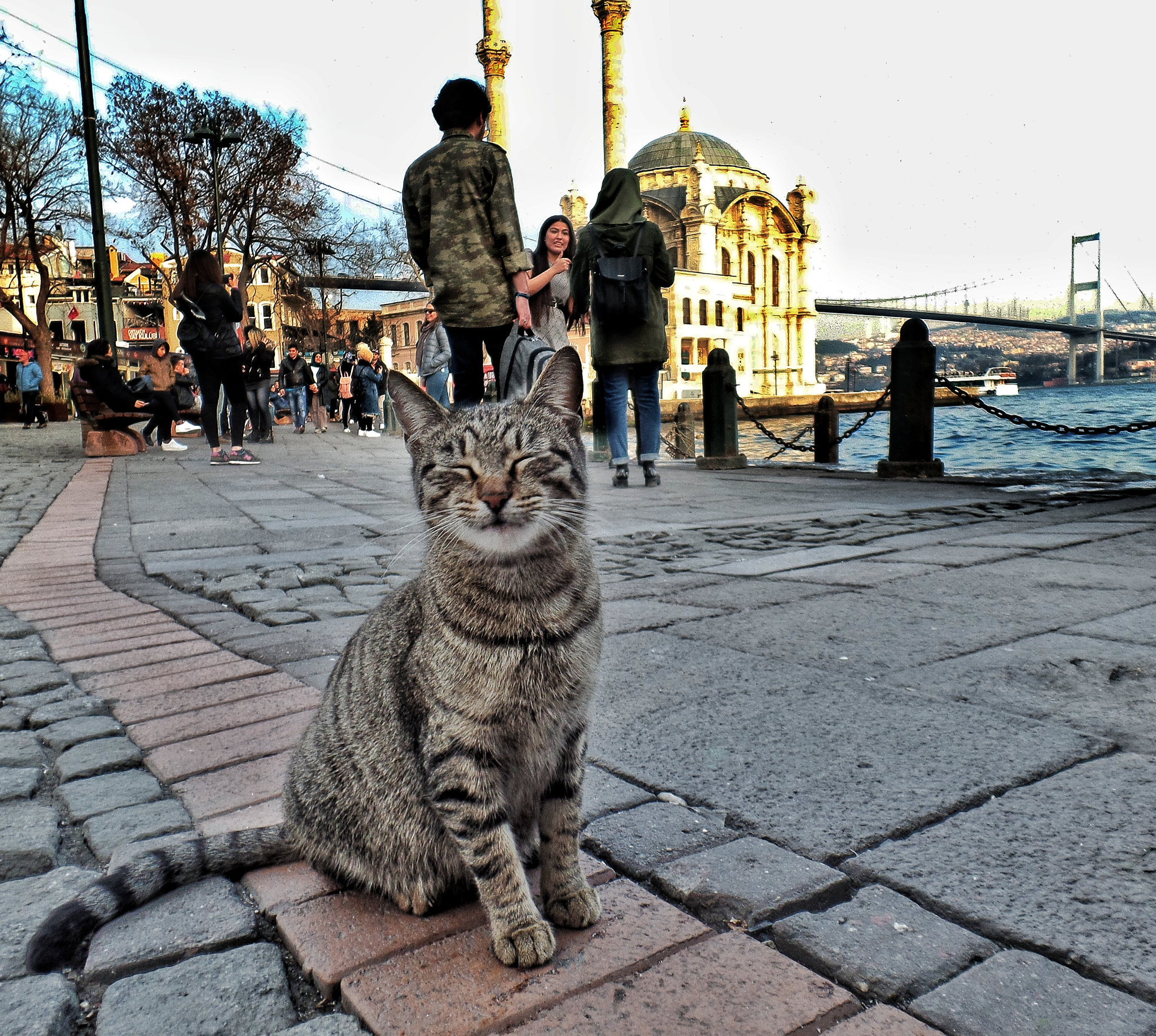 Samsung WB350F/WB351F/WB352F sample photo. Ortaköy mecidiye mosque and cat photography