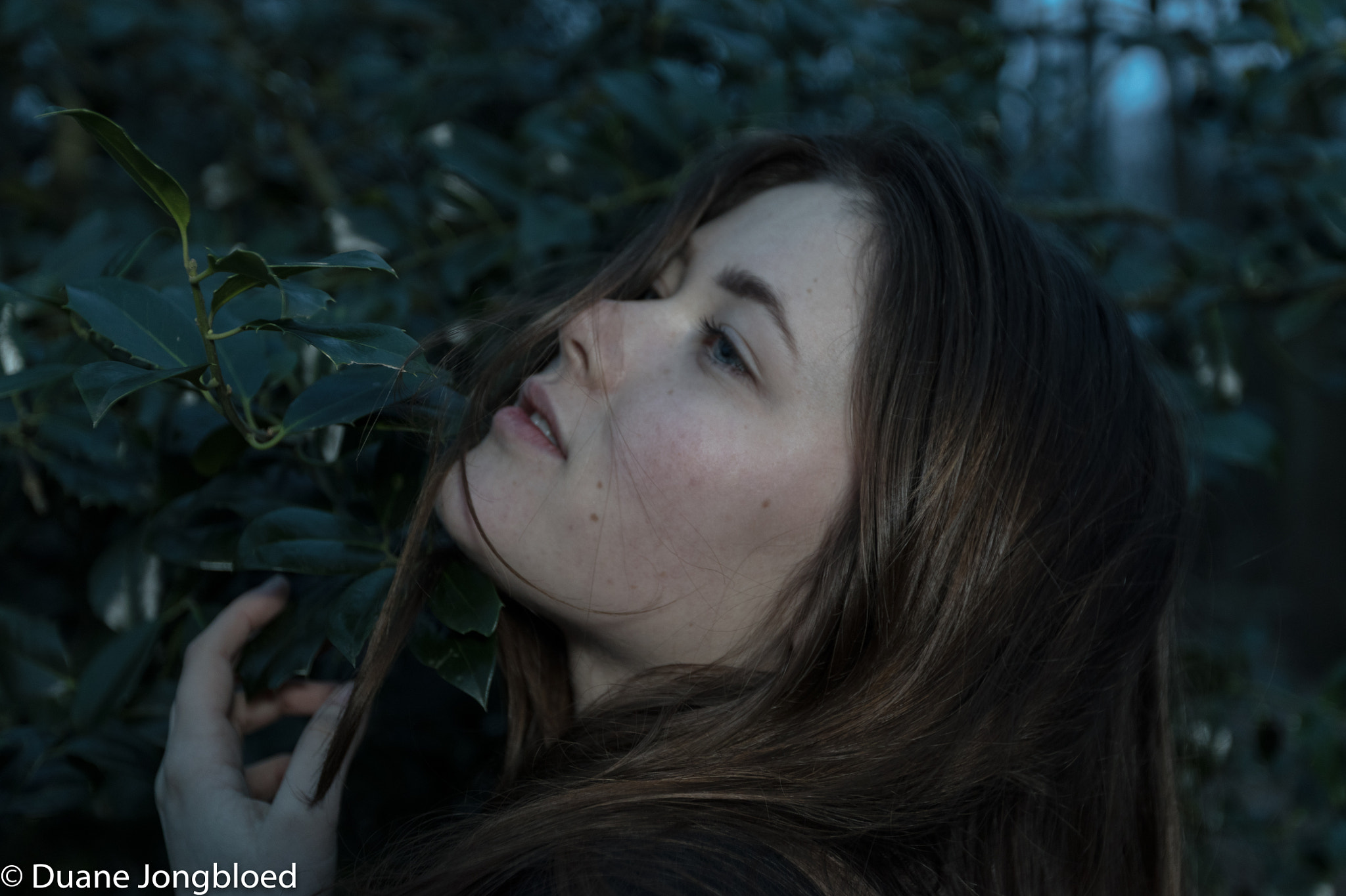 Canon EF 16-35mm F2.8L II USM sample photo. Woodman photography