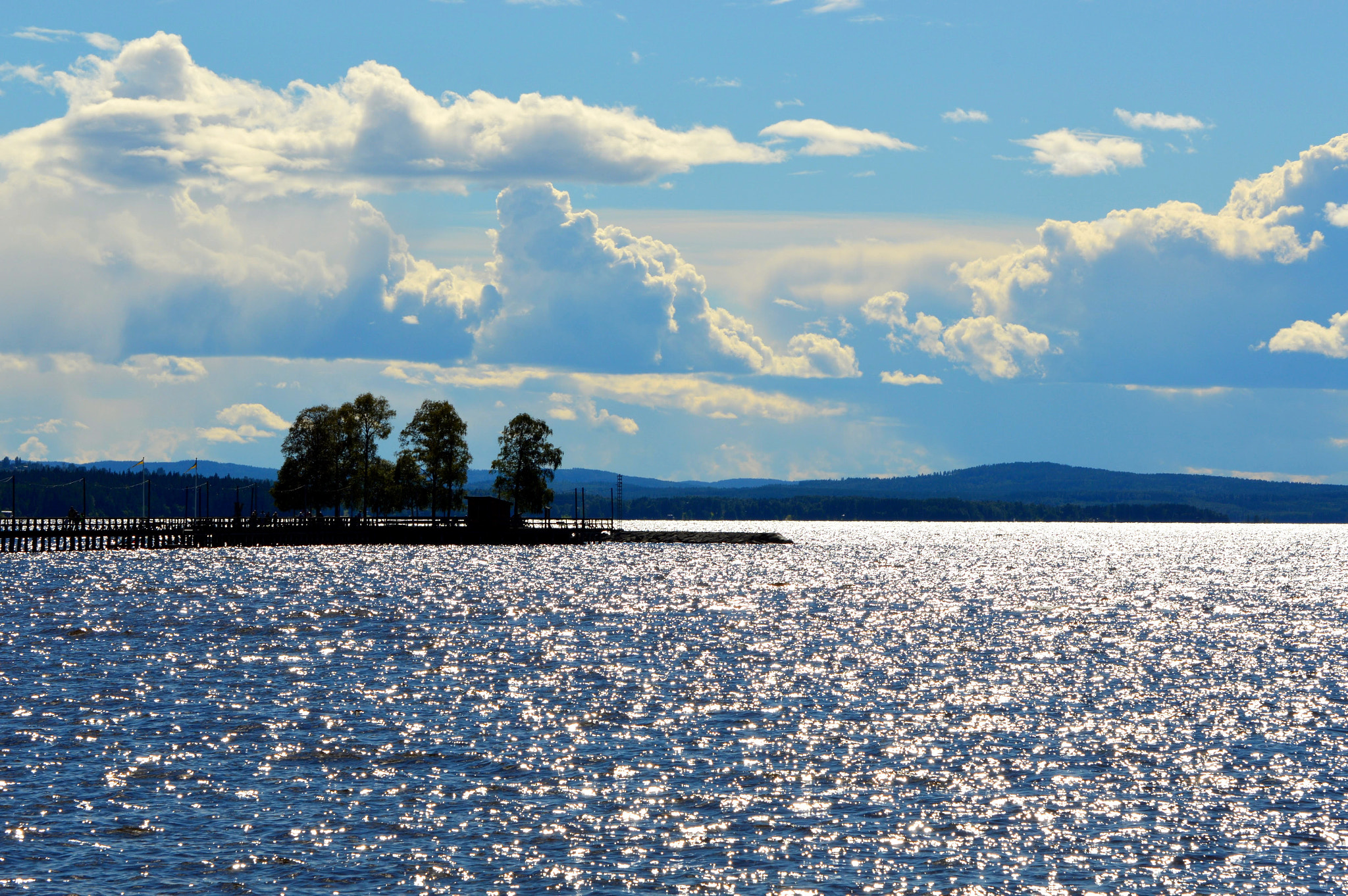 Nikon D3200 sample photo. So summerish photography