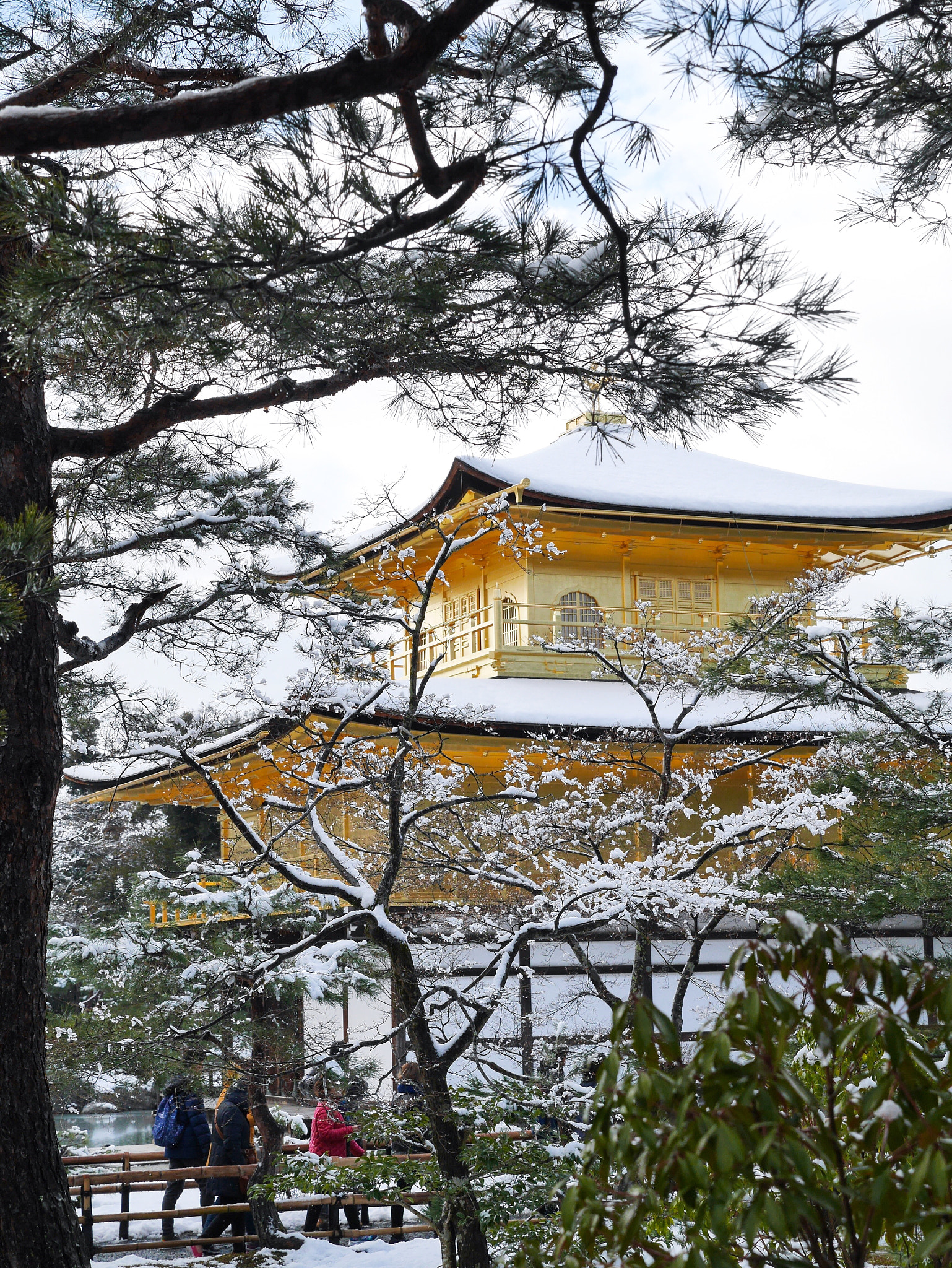 Panasonic Lumix G X Vario 12-35mm F2.8 ASPH Power OIS sample photo. Shiny gold photography