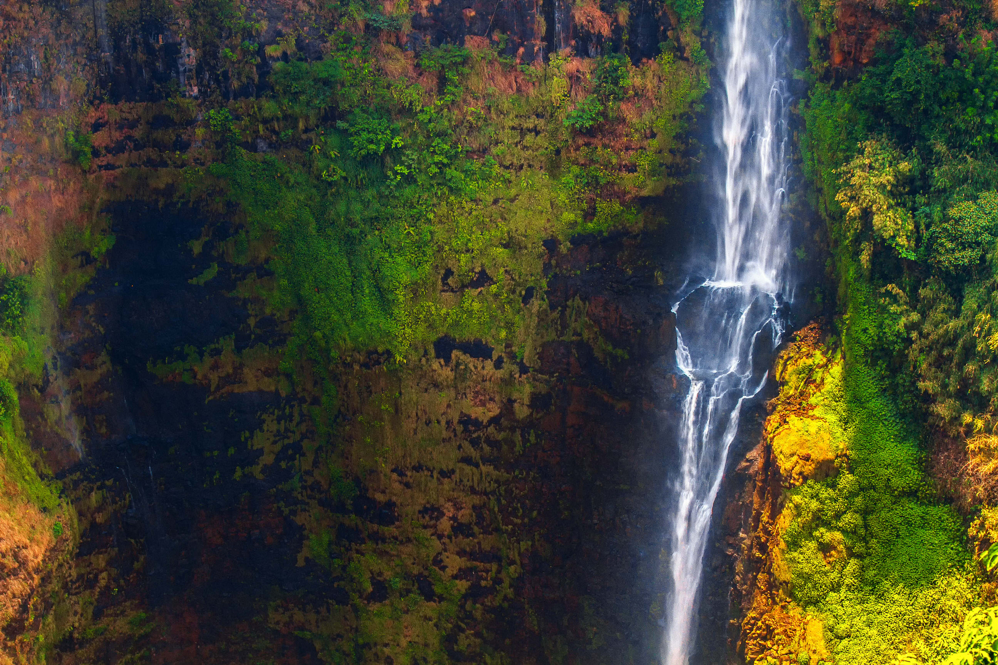 Canon EOS 7D sample photo. Close up of tad fane waterfall photography