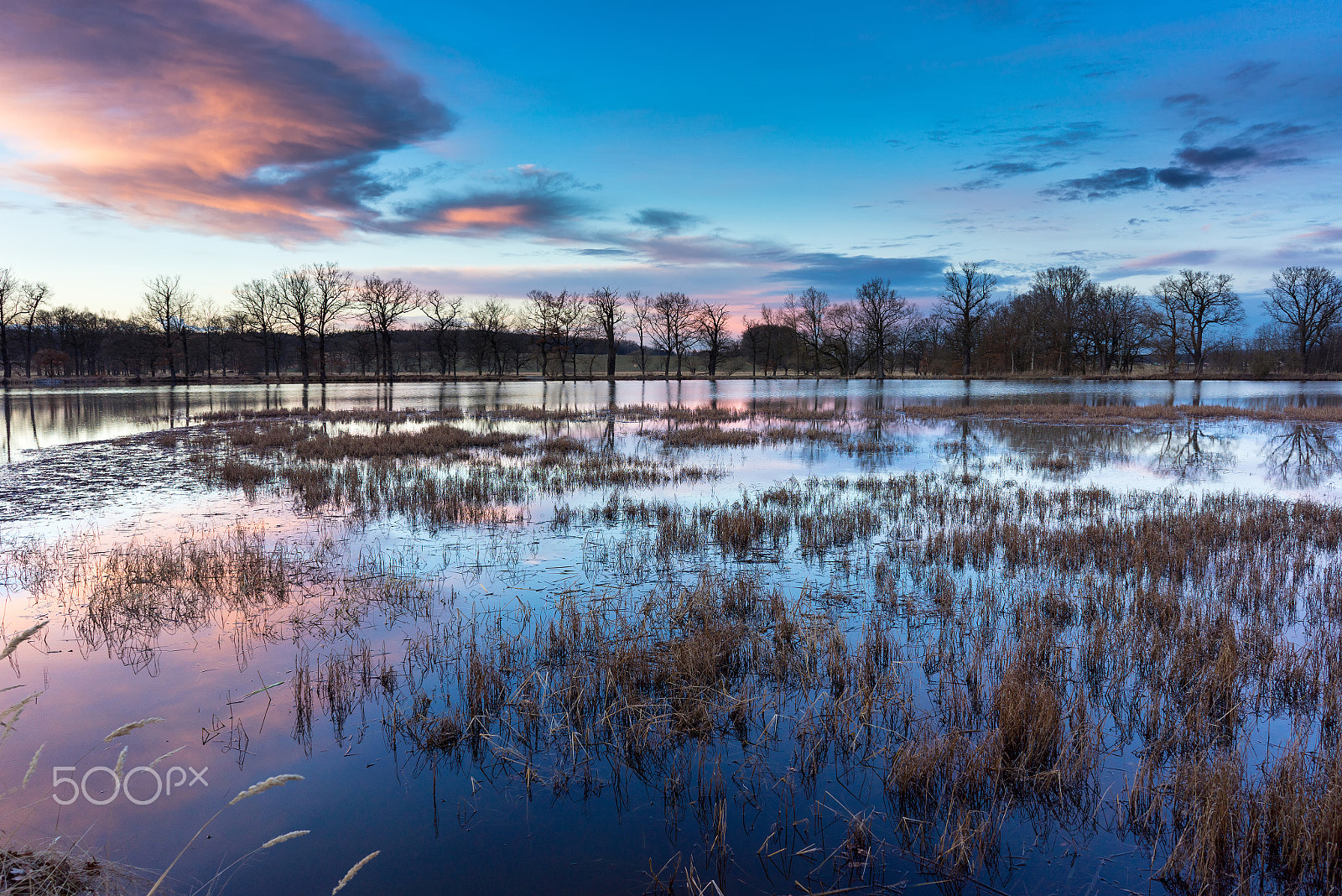 Sony a7R + Sony FE 28mm F2 sample photo. Swamp in the calm beautiful sunset. photography