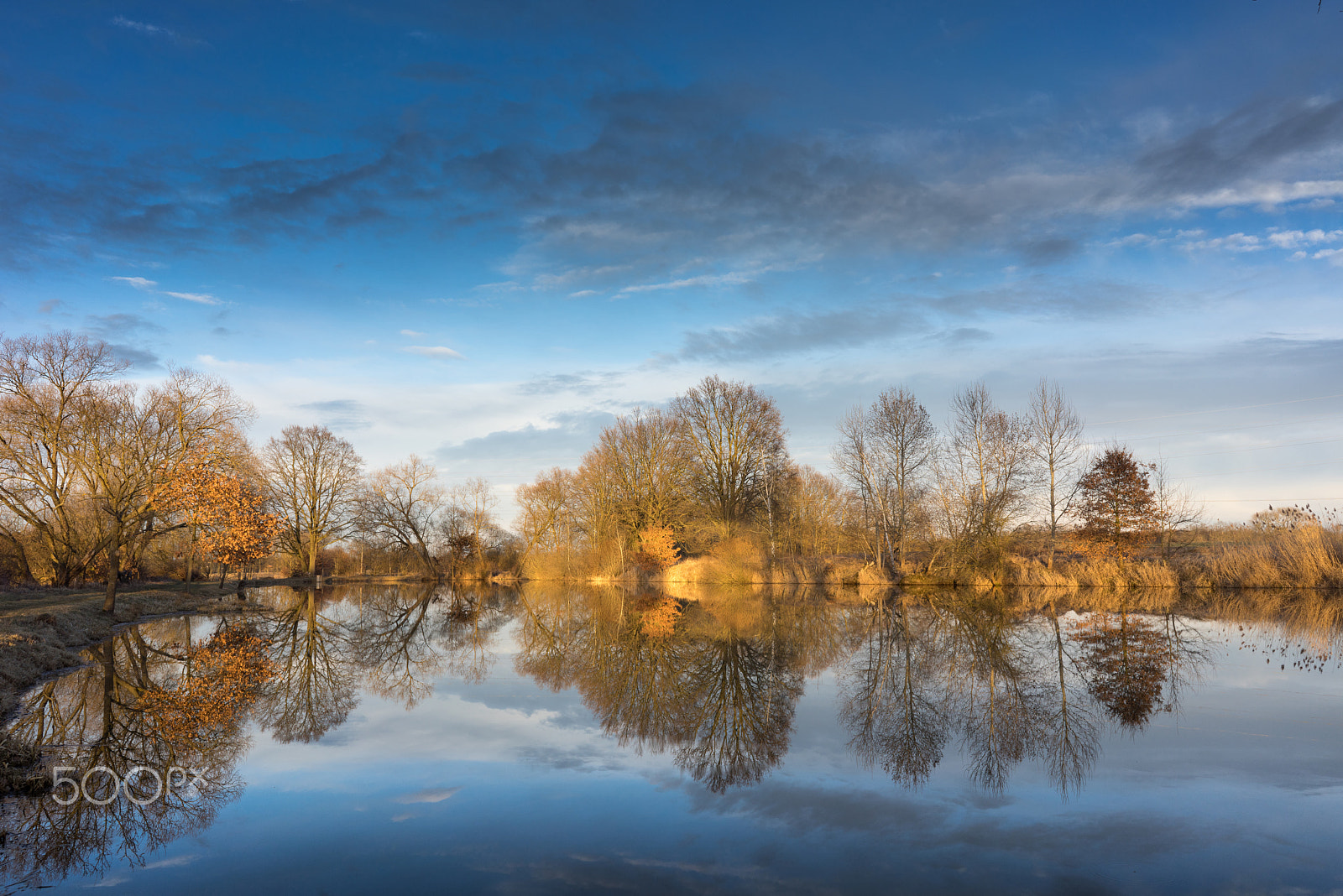 Sony a7R + Sony FE 28mm F2 sample photo. Small lake with sunny orange foliage. photography