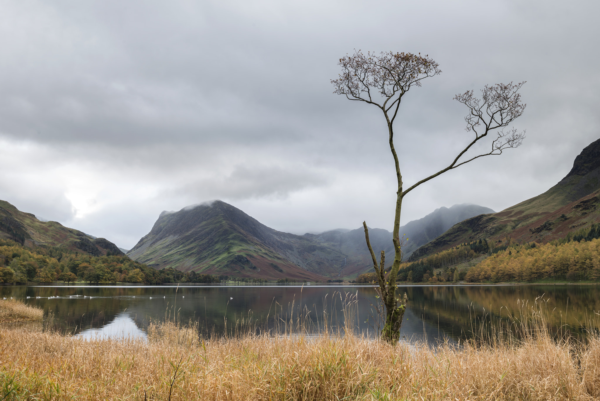 Nikon D800 + Nikon AF-S Nikkor 18-35mm F3.5-4.5G ED sample photo. Stuning autumn fall landscape image of lake buttermere in lake d photography