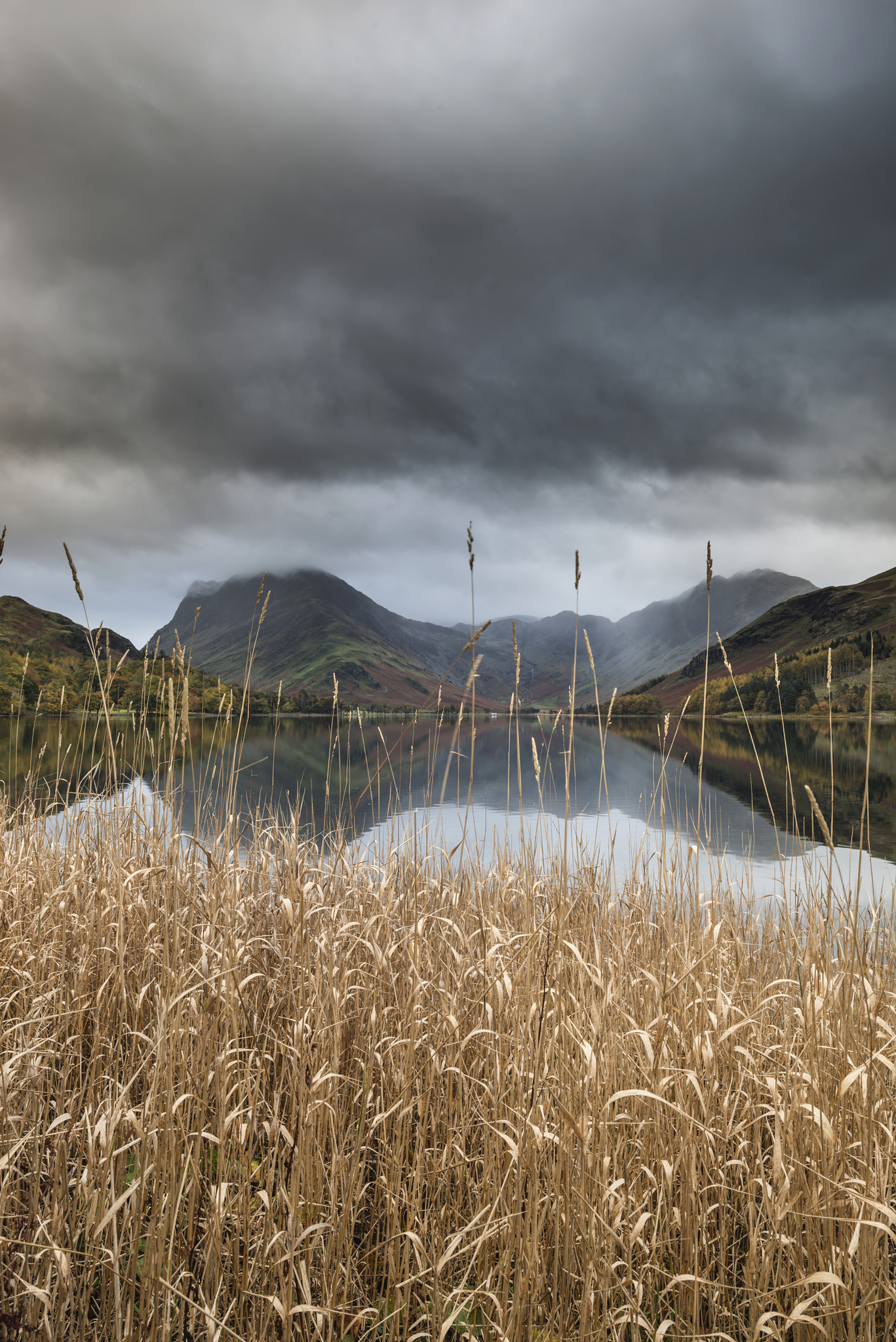 Nikon D800 + Nikon AF-S Nikkor 18-35mm F3.5-4.5G ED sample photo. Stuning autumn fall landscape image of lake buttermere in lake d photography