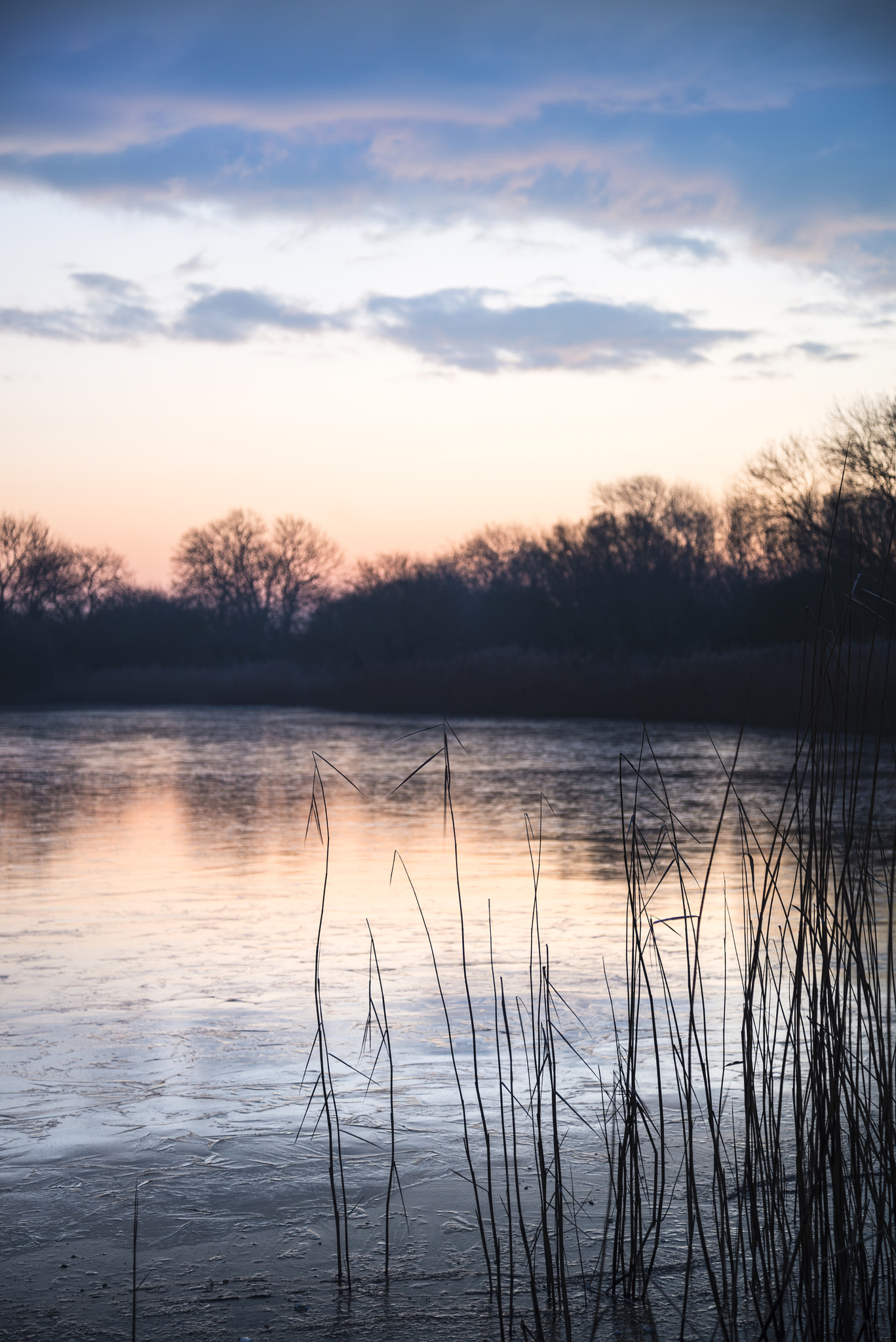 Nikon D800 + Nikon AF-S Nikkor 24-85mm F3.5-4.5G ED VR sample photo. Stunning colorful winter sunrise over reeds on lake in cotswolds photography